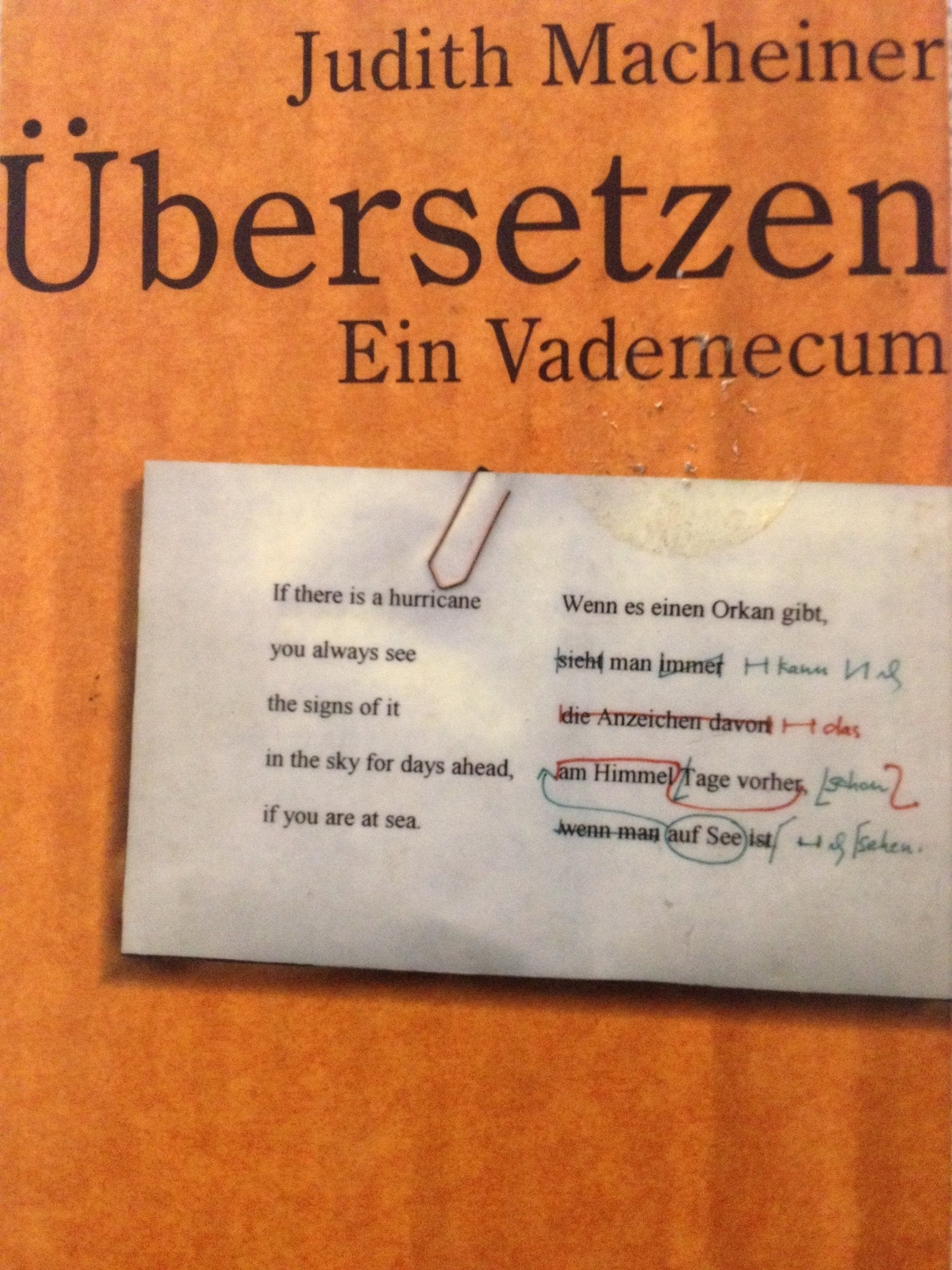 Die Andere Bibliothek, Bd. 125: Übersetzen. Ein Vademecum (Erfolgsausgabe) Books