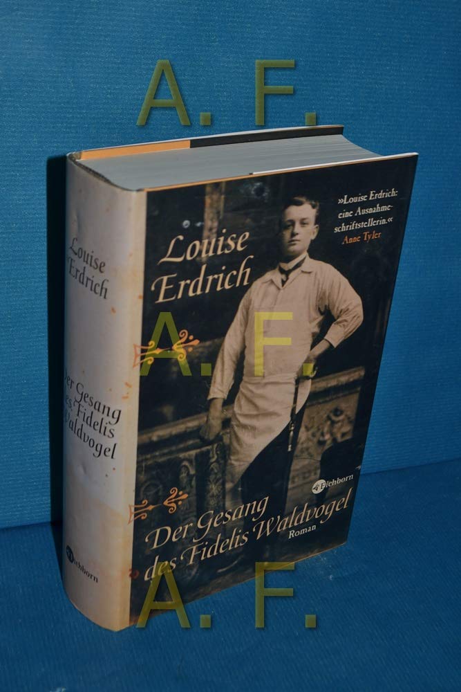 Der Gesang des Fidelis Waldvogel: Roman Contemporary literature