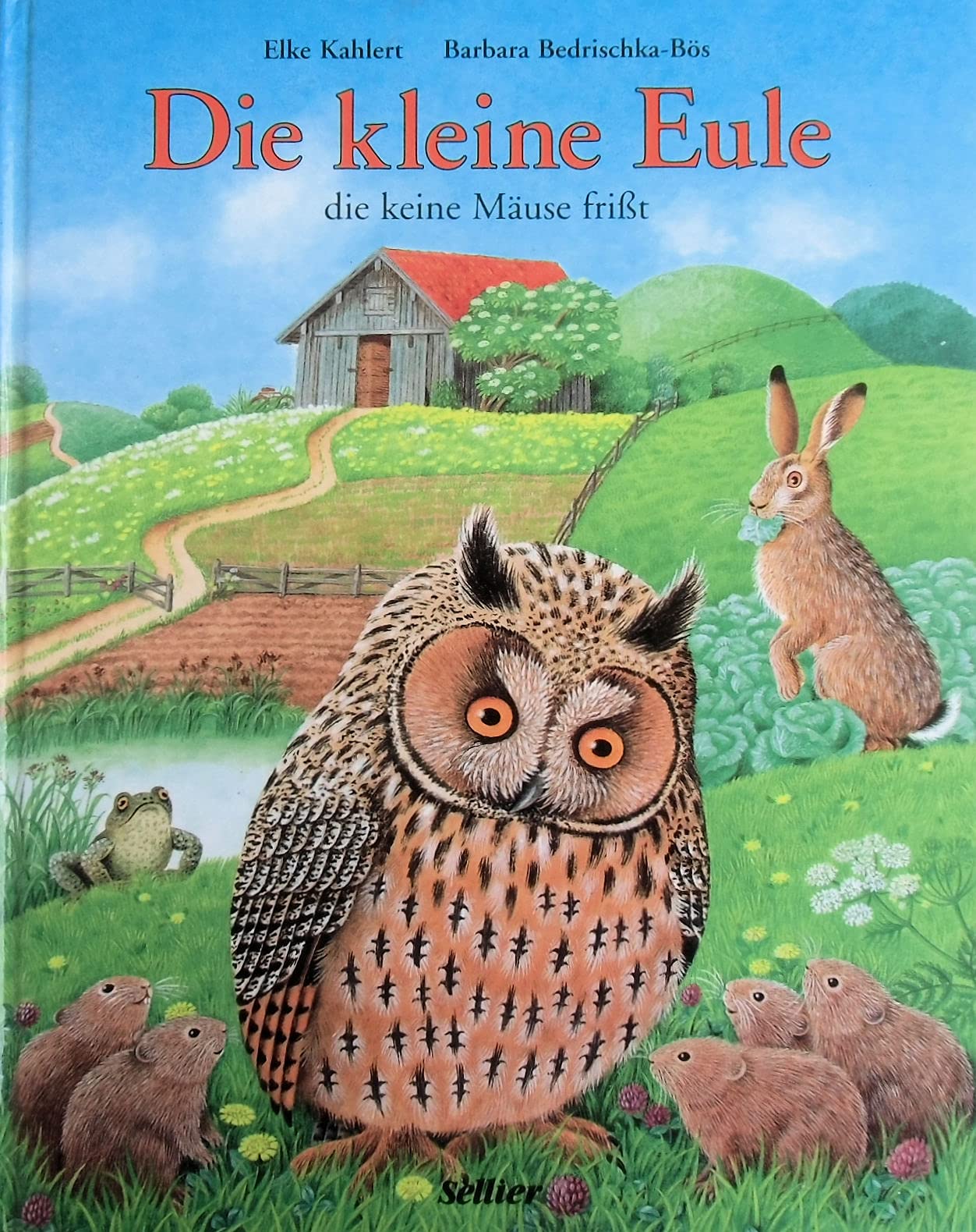 Die kleine Eule, die keine Mäuse frißt Books