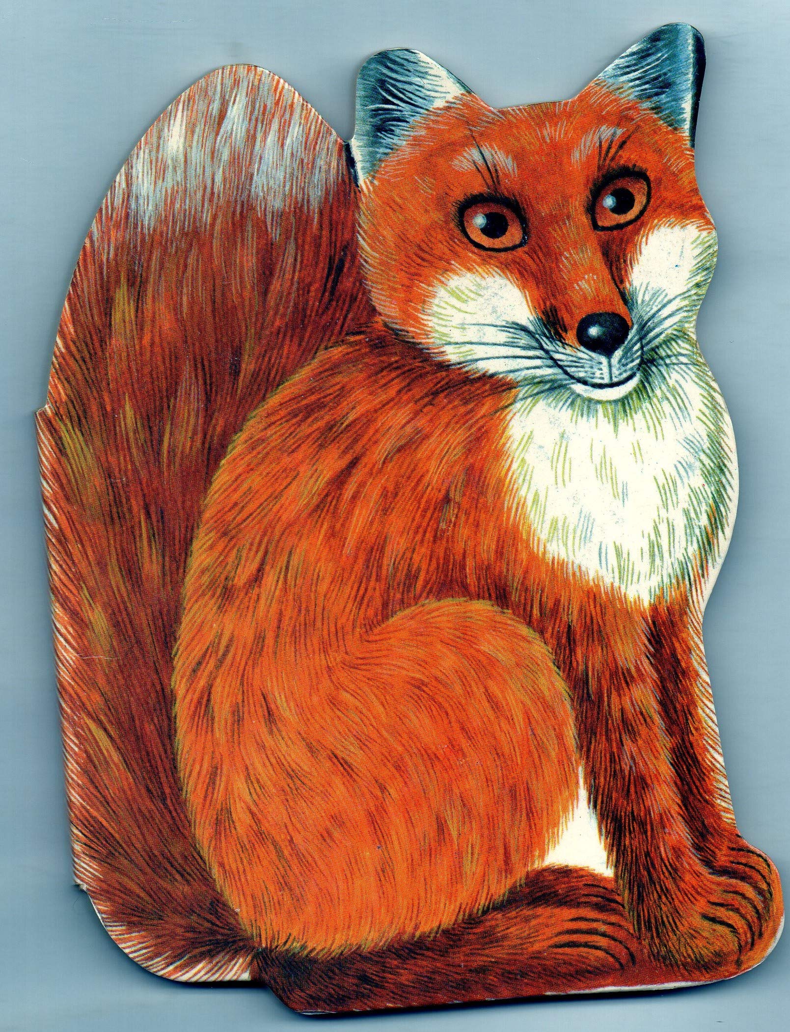 Product Image: Fox Shape Board Book (Shape board books)