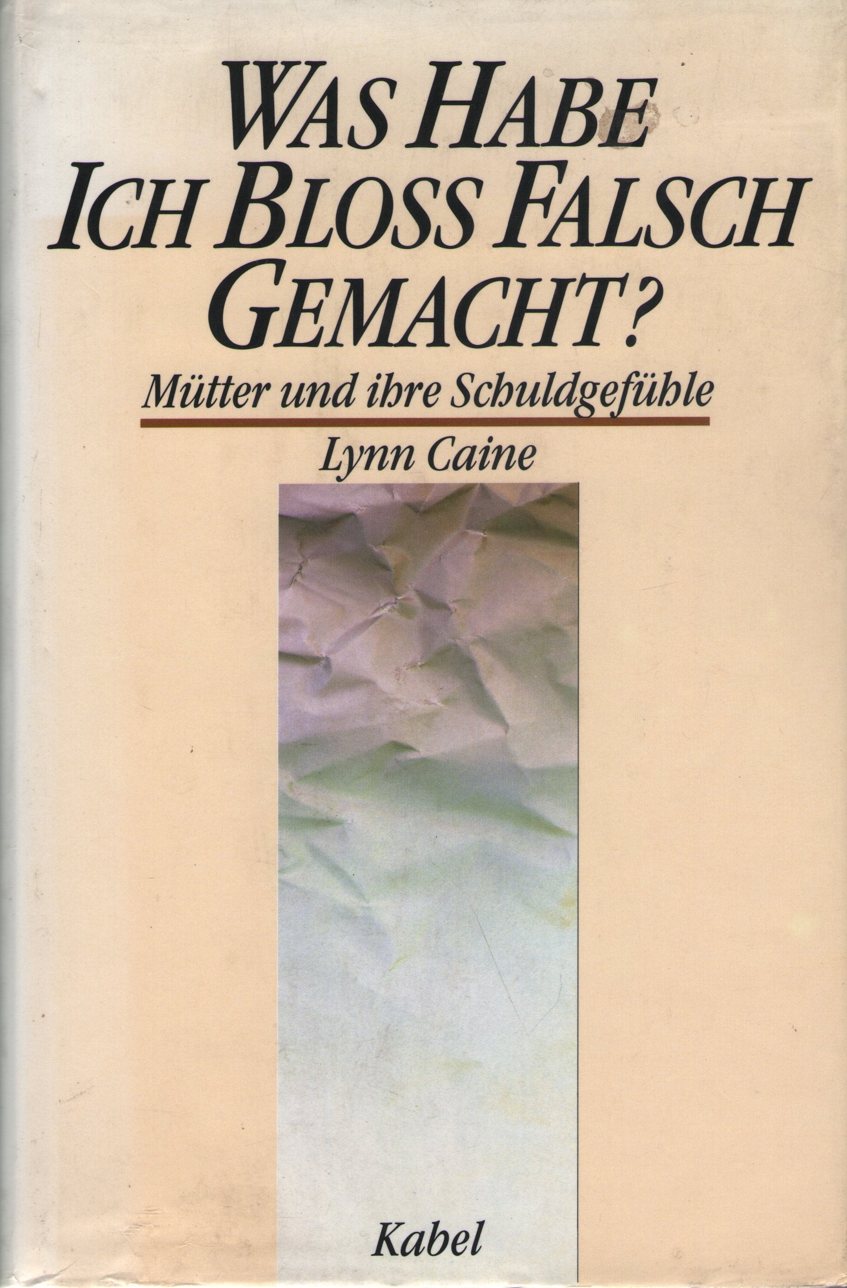 Was habe ich bloß falsch gemacht? Mütter und ihre Schuldgefühle Books