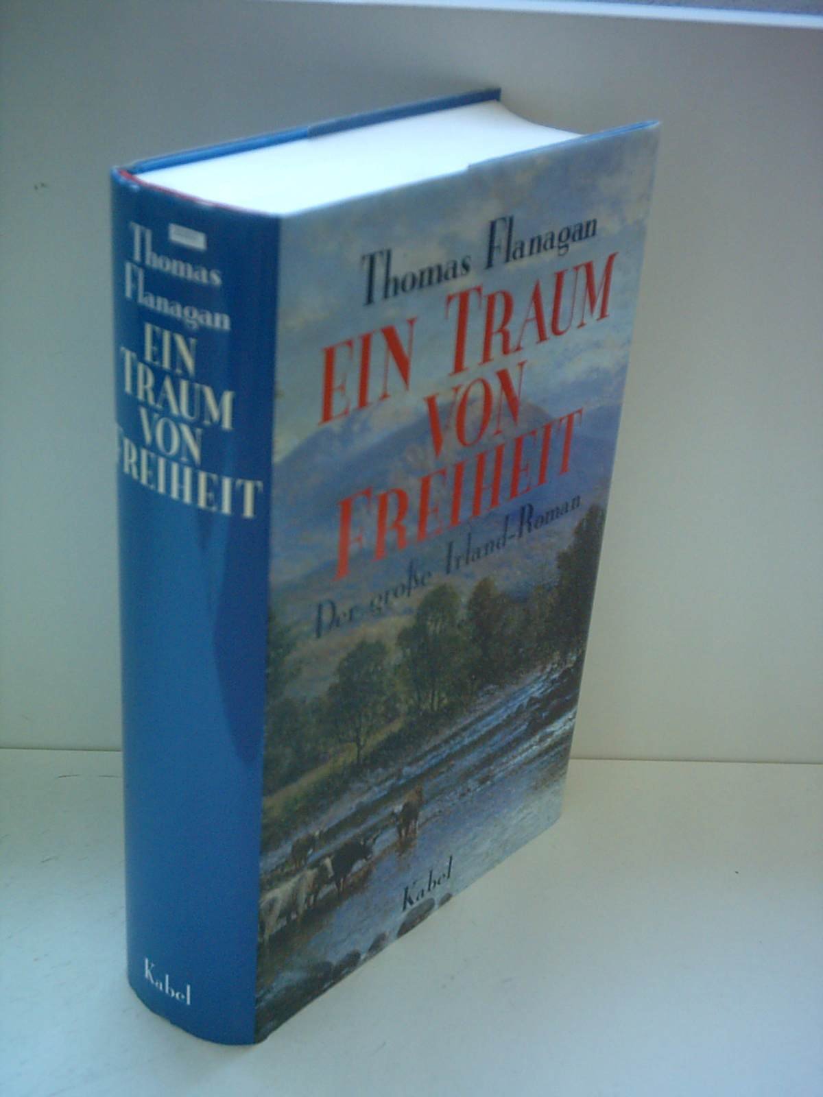 Ein Traum von Freiheit: Der grosse Irland-Roman Classics