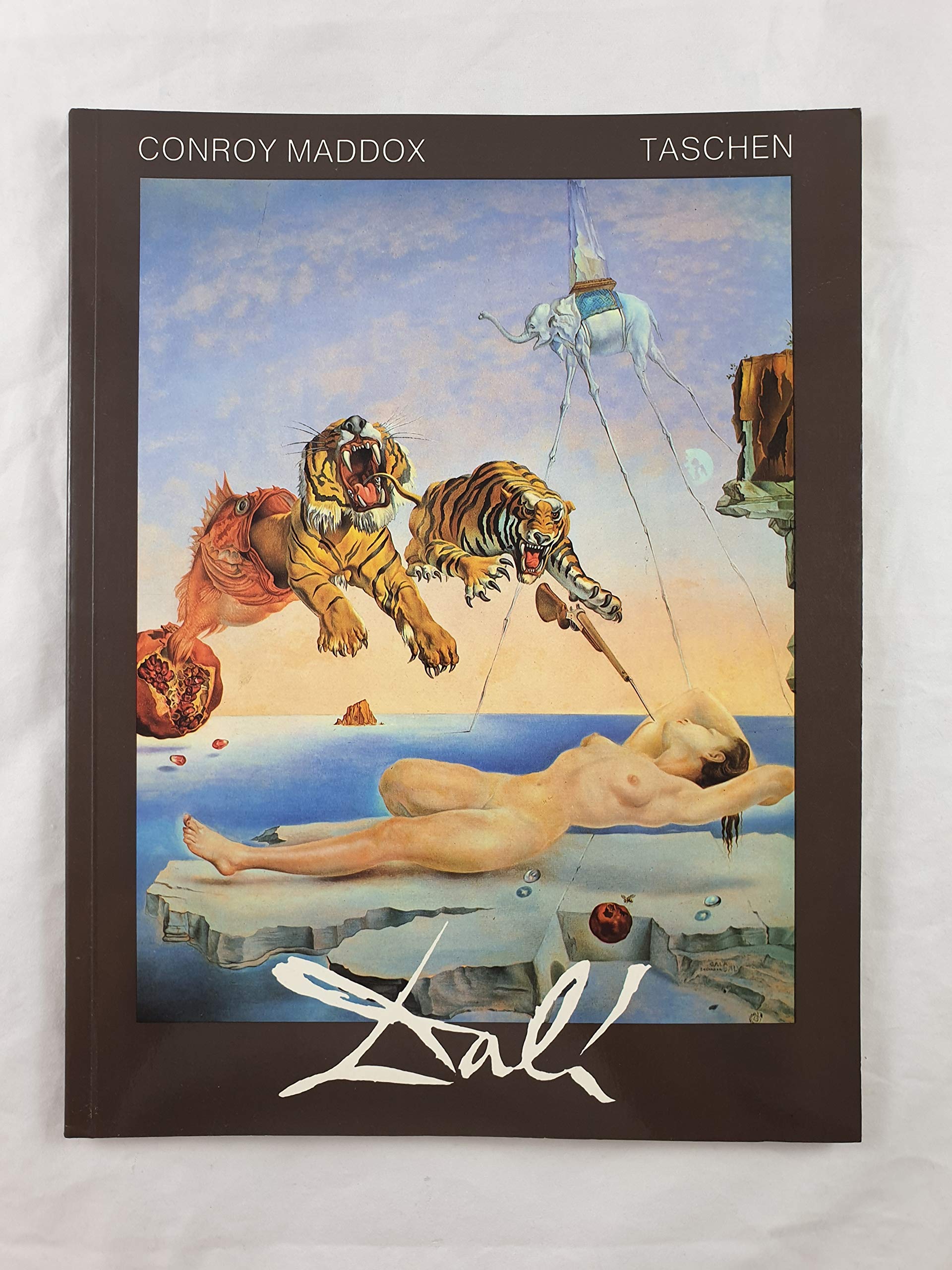 Dali Art & Literature Books