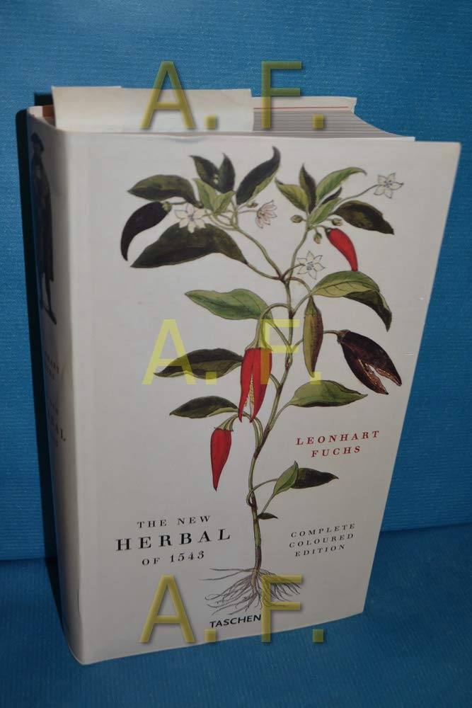Fuchs, Herbs: Englische Ausgabe (Klotz S.) Film, Art & Culture