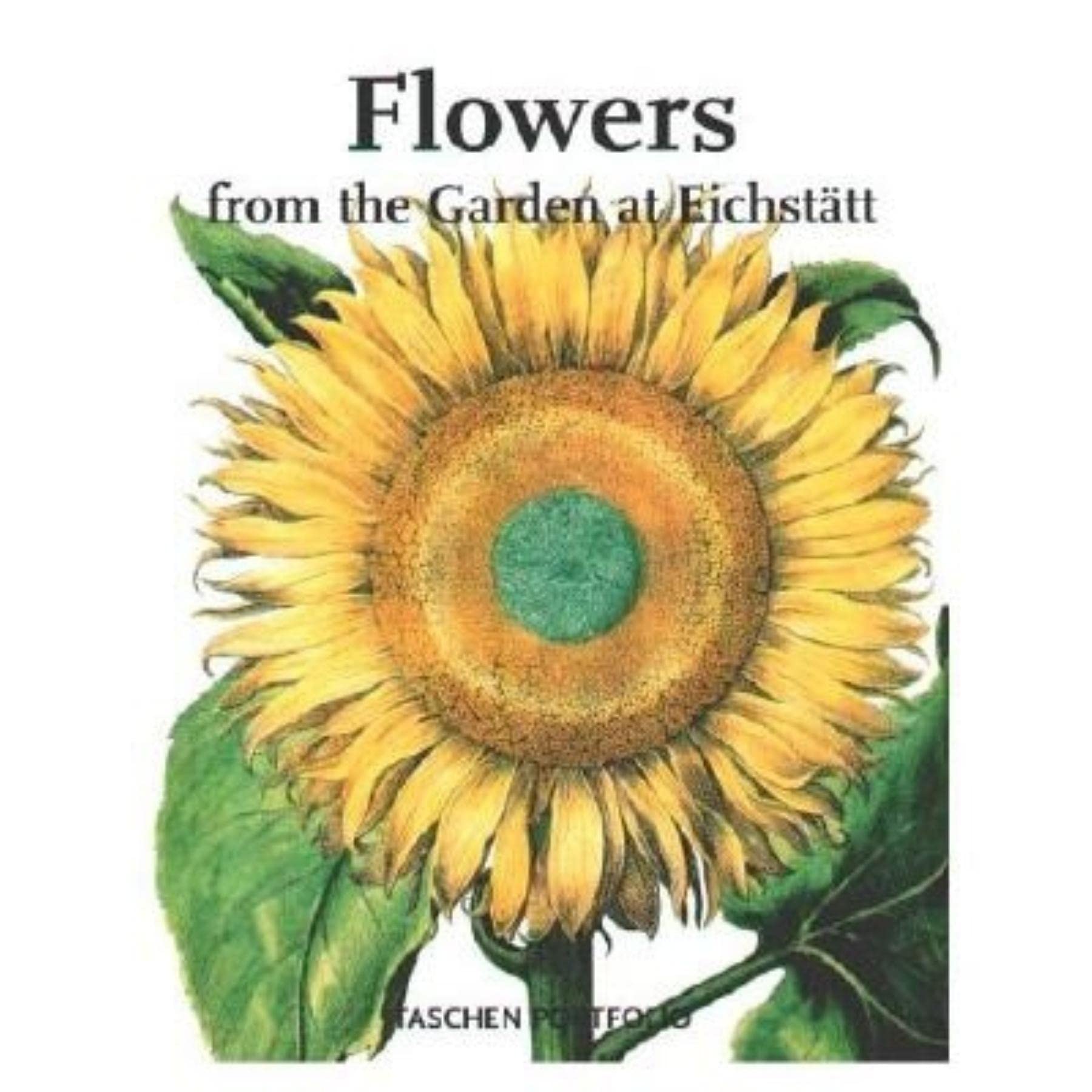Garten von Eichstätt: Portfolio (Poster Portfolios S.) Film, Art & Culture