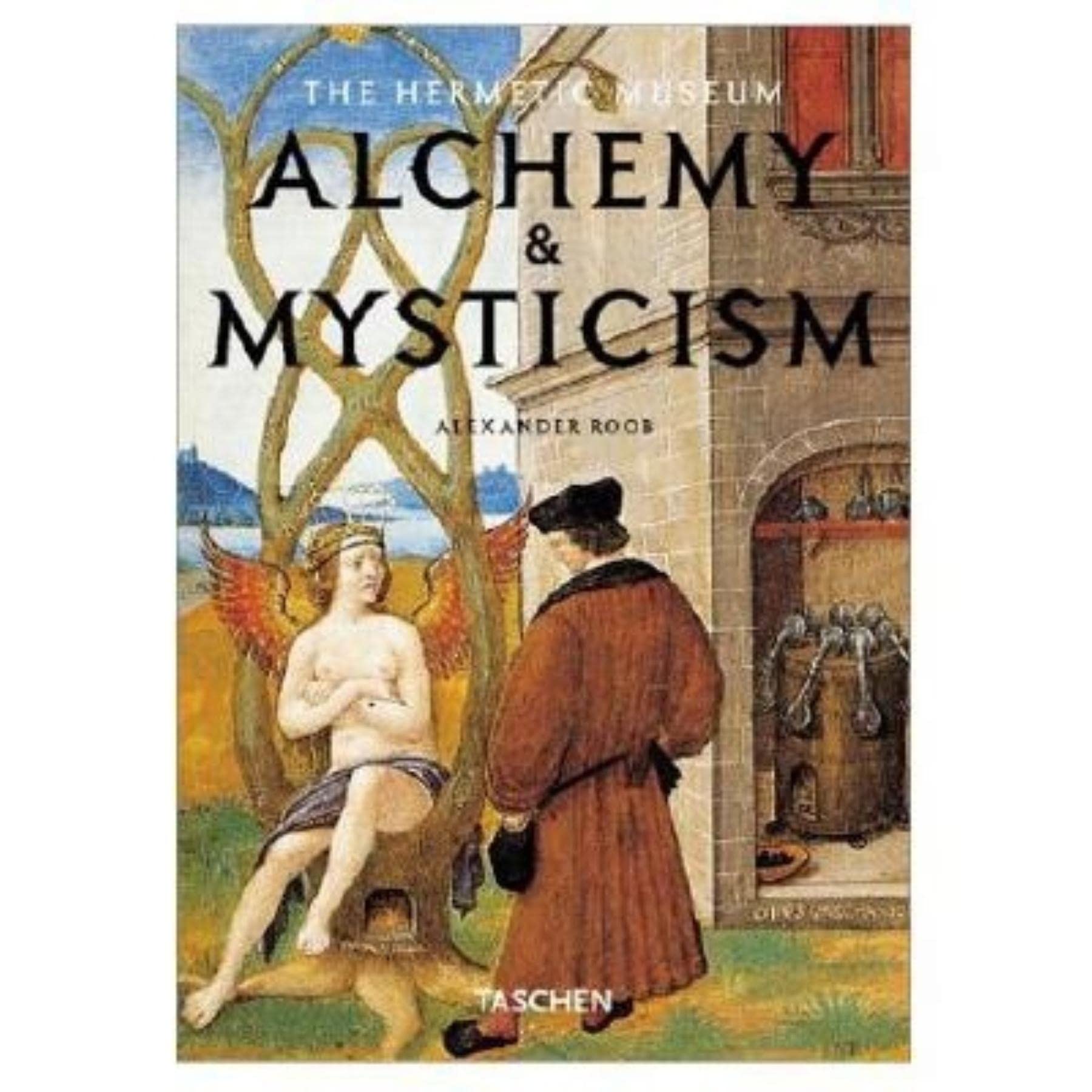 Alchemy & Mysticism: The Hermetic Museum (Klotz S.) Film, Art & Culture