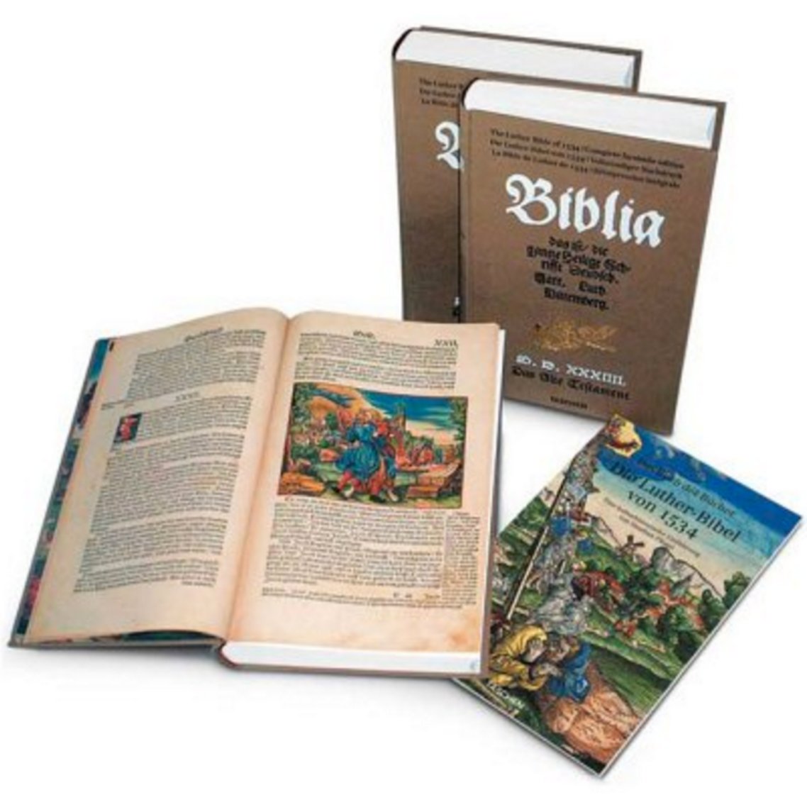 Die Luther Bibel von 1534: Eine kulturhistorische Einführung Film, Art & Culture