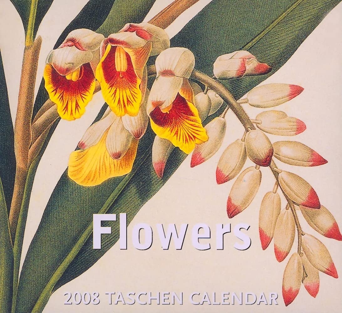 Flowers 2008: Tear off (Abreisskalender) Film, Art & Culture