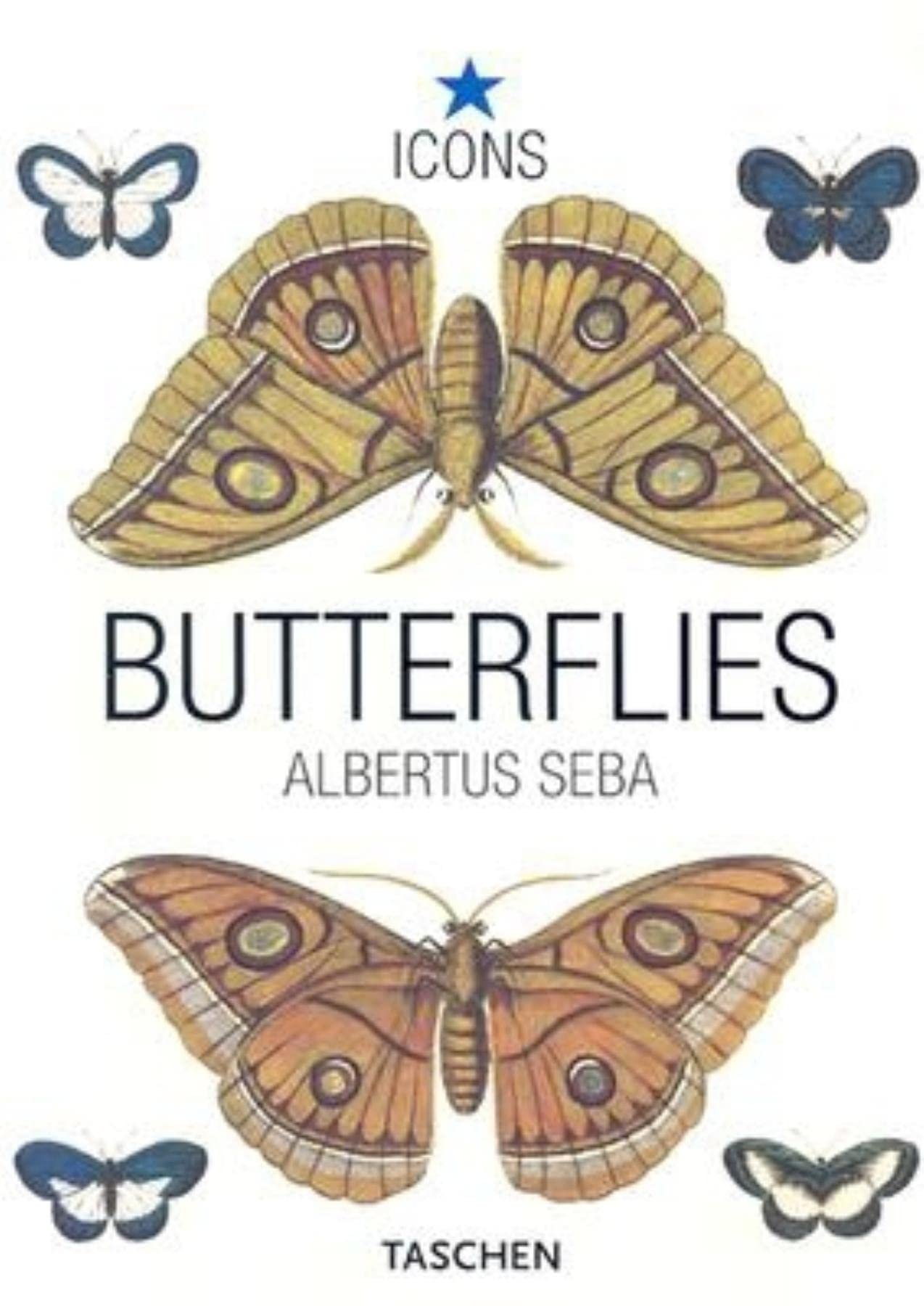 Albertus Seba. Butterflies: PO (Icons) Mathematics