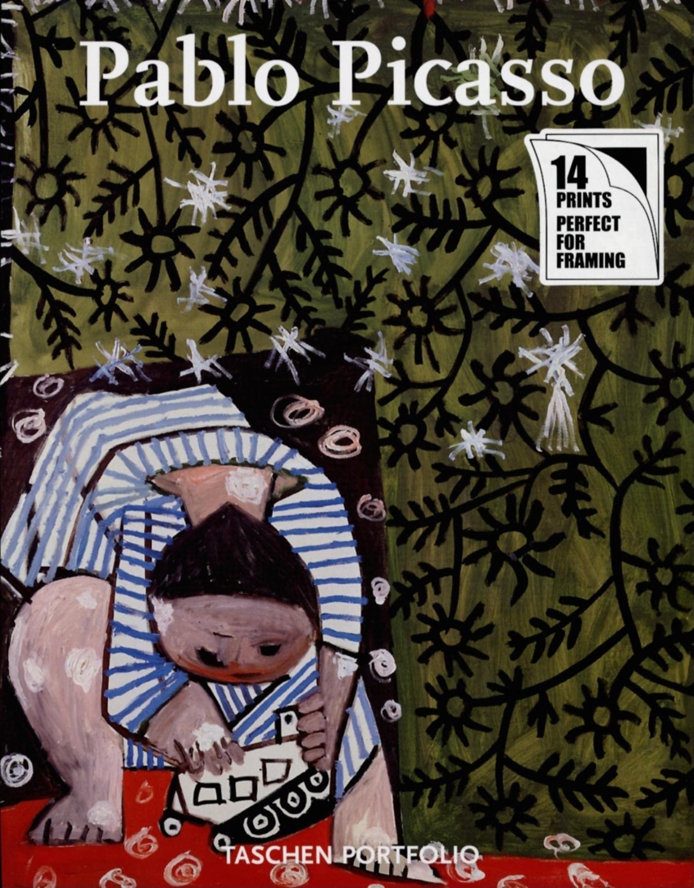 Picasso: Portfolio Art & Literature