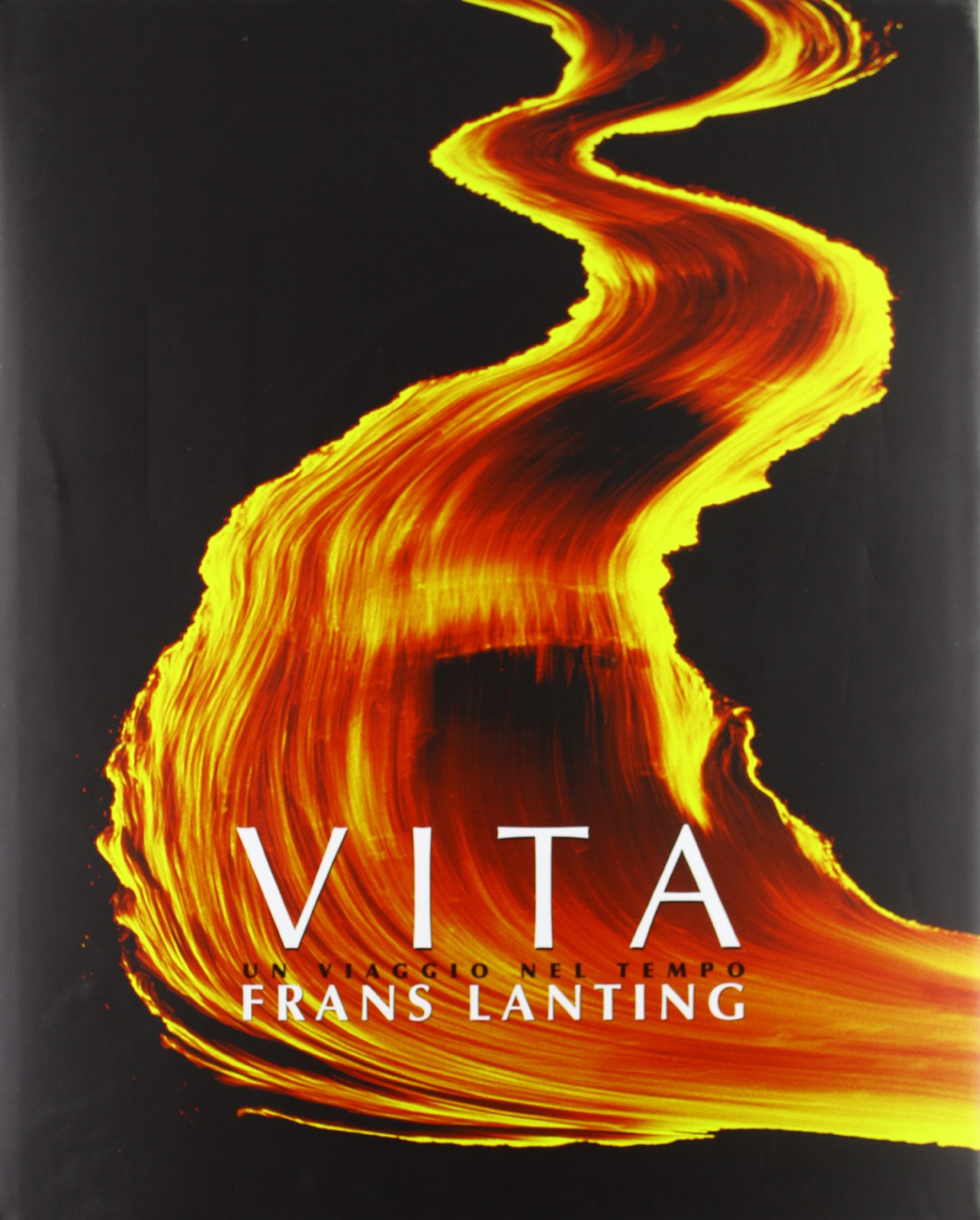 Vita. Un viaggio nel tempo. Ediz. illustrata book