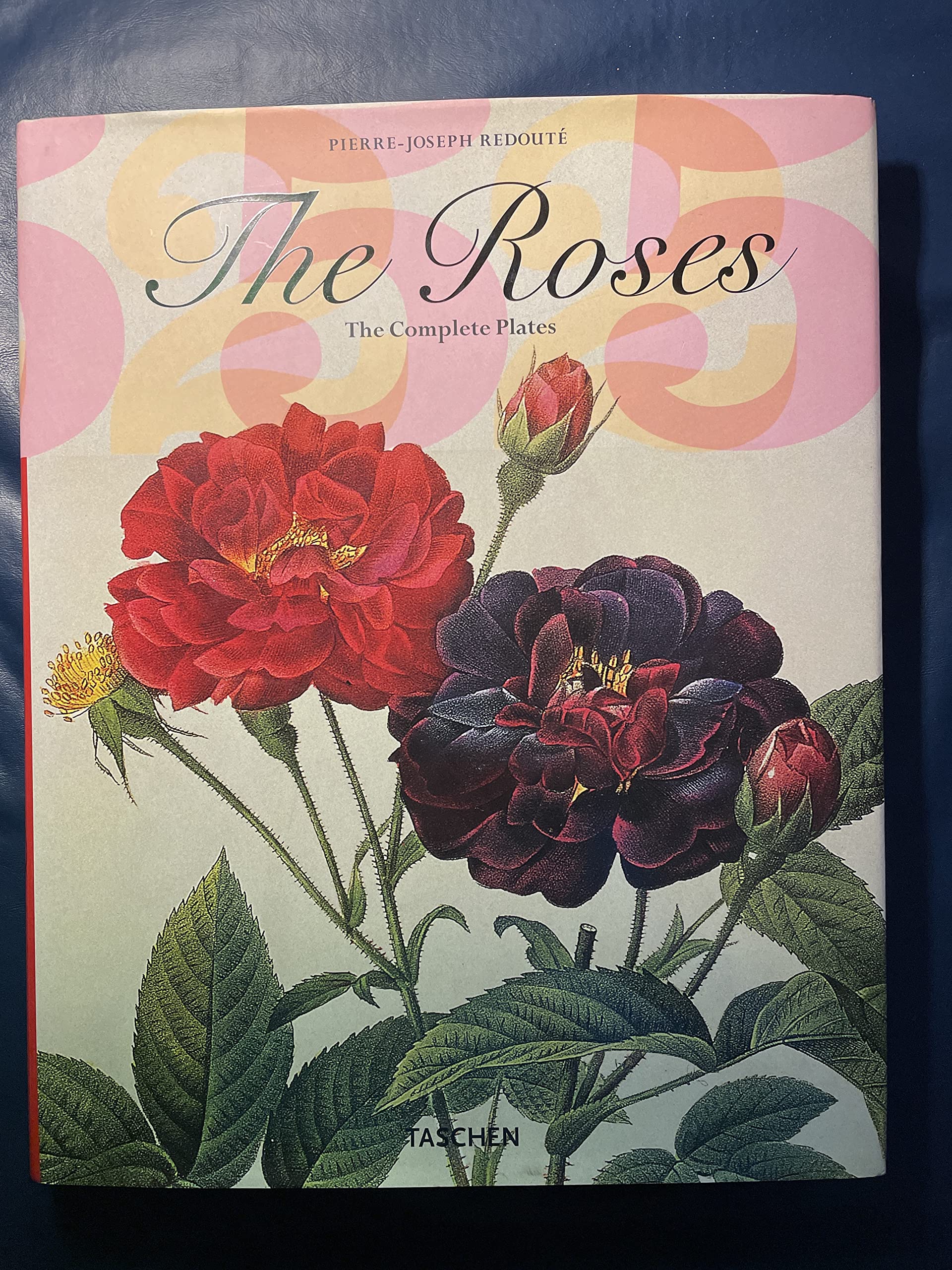 The Roses: The Complete Plates Mathematics