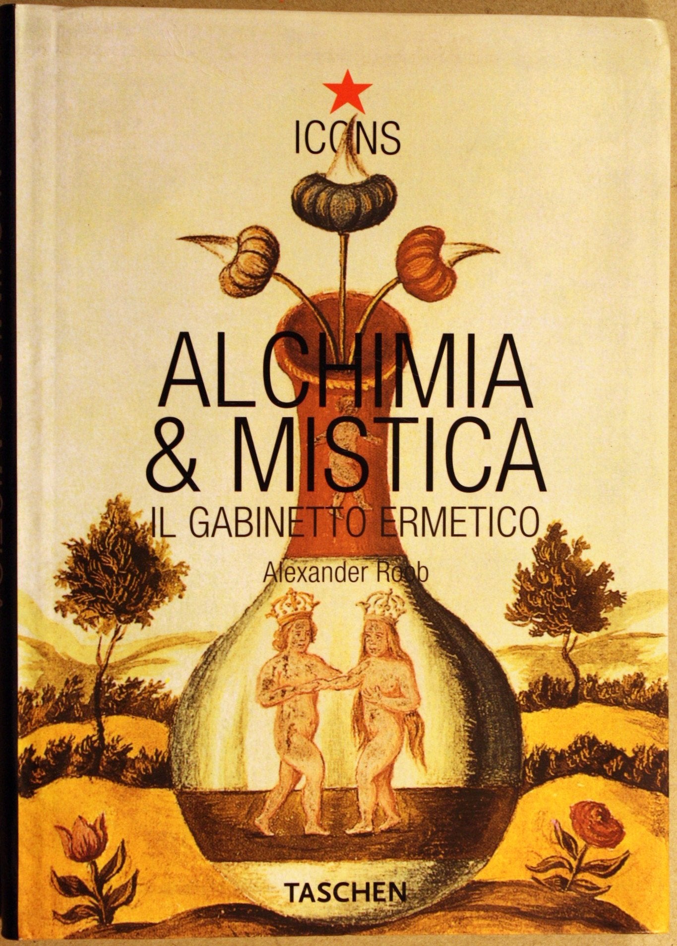 Alchimia & mistica. Ediz. illustrata (Icons) Religion & Esotericism