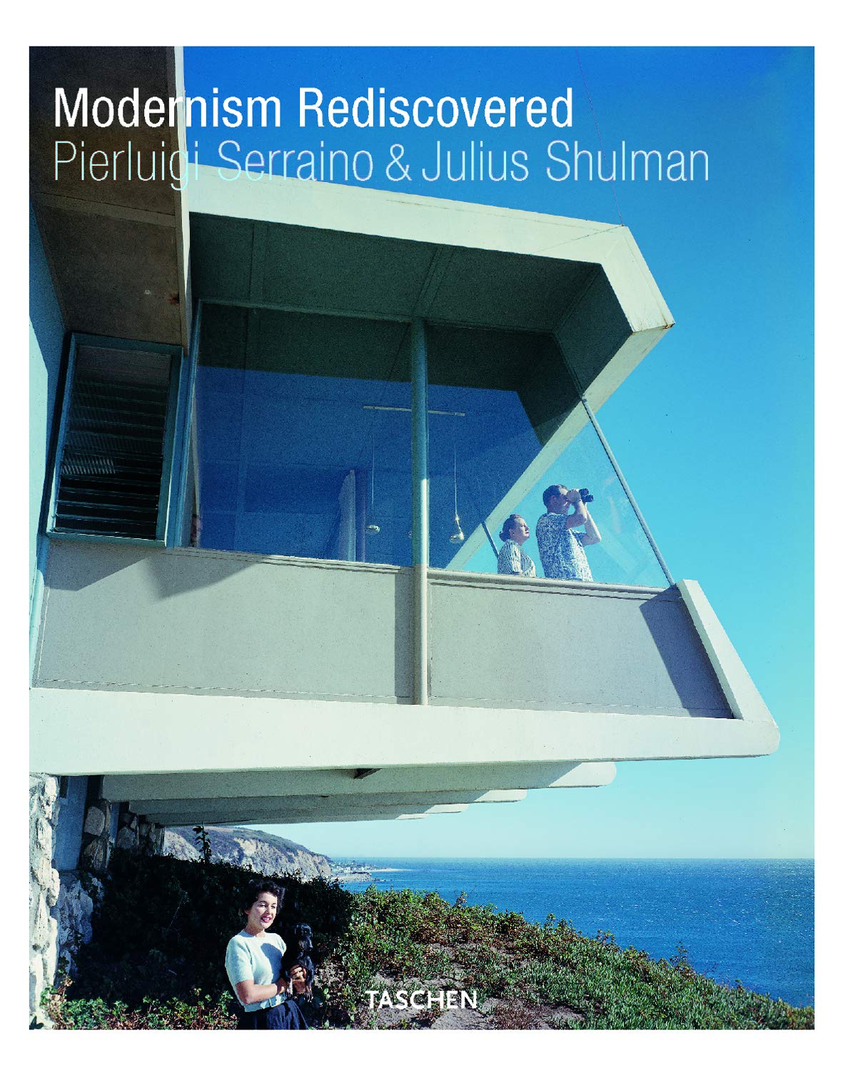Modernism Rediscovered book
