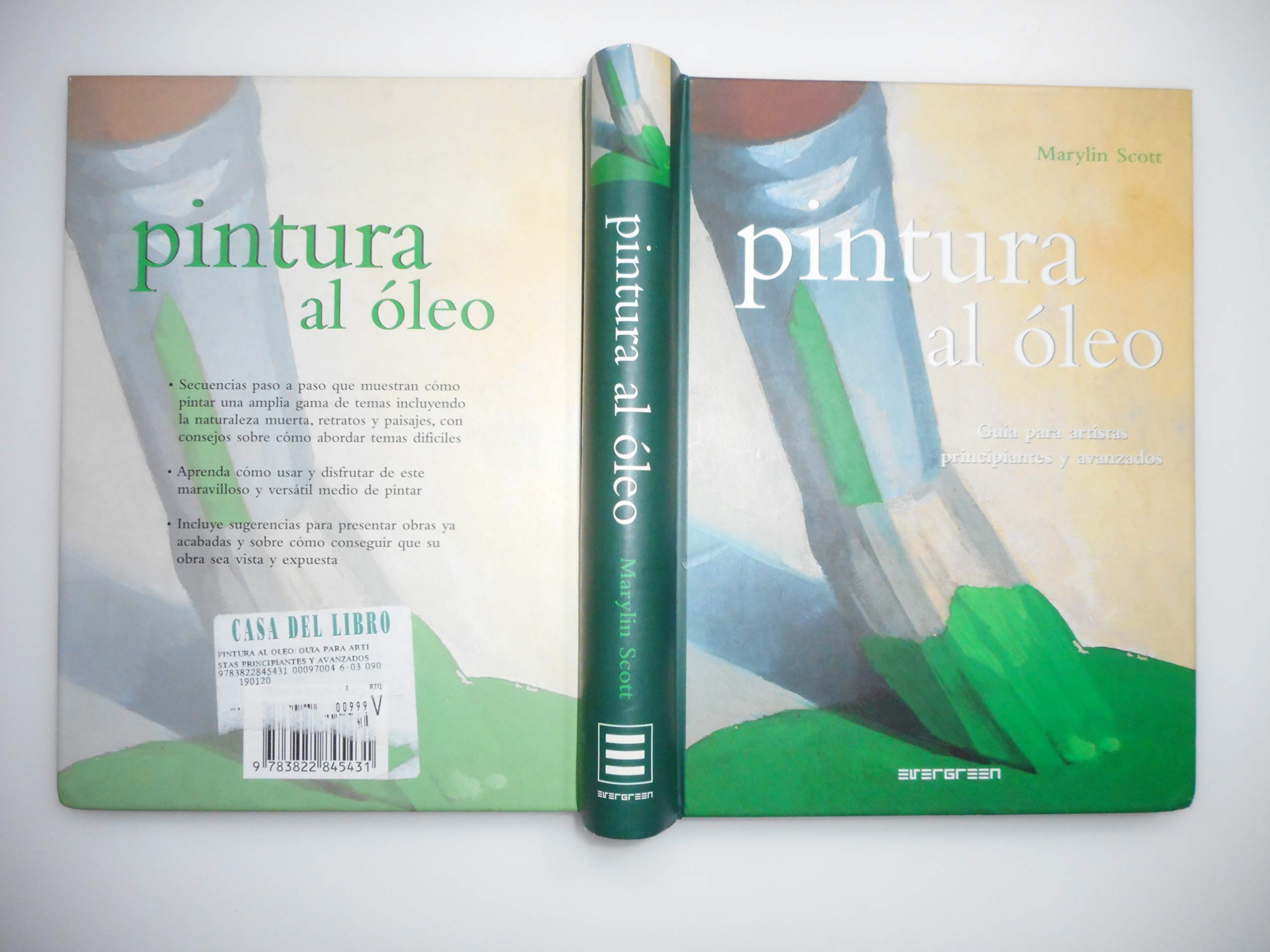 Pintura al oleo - guia para artistas principiantes y avanzados book