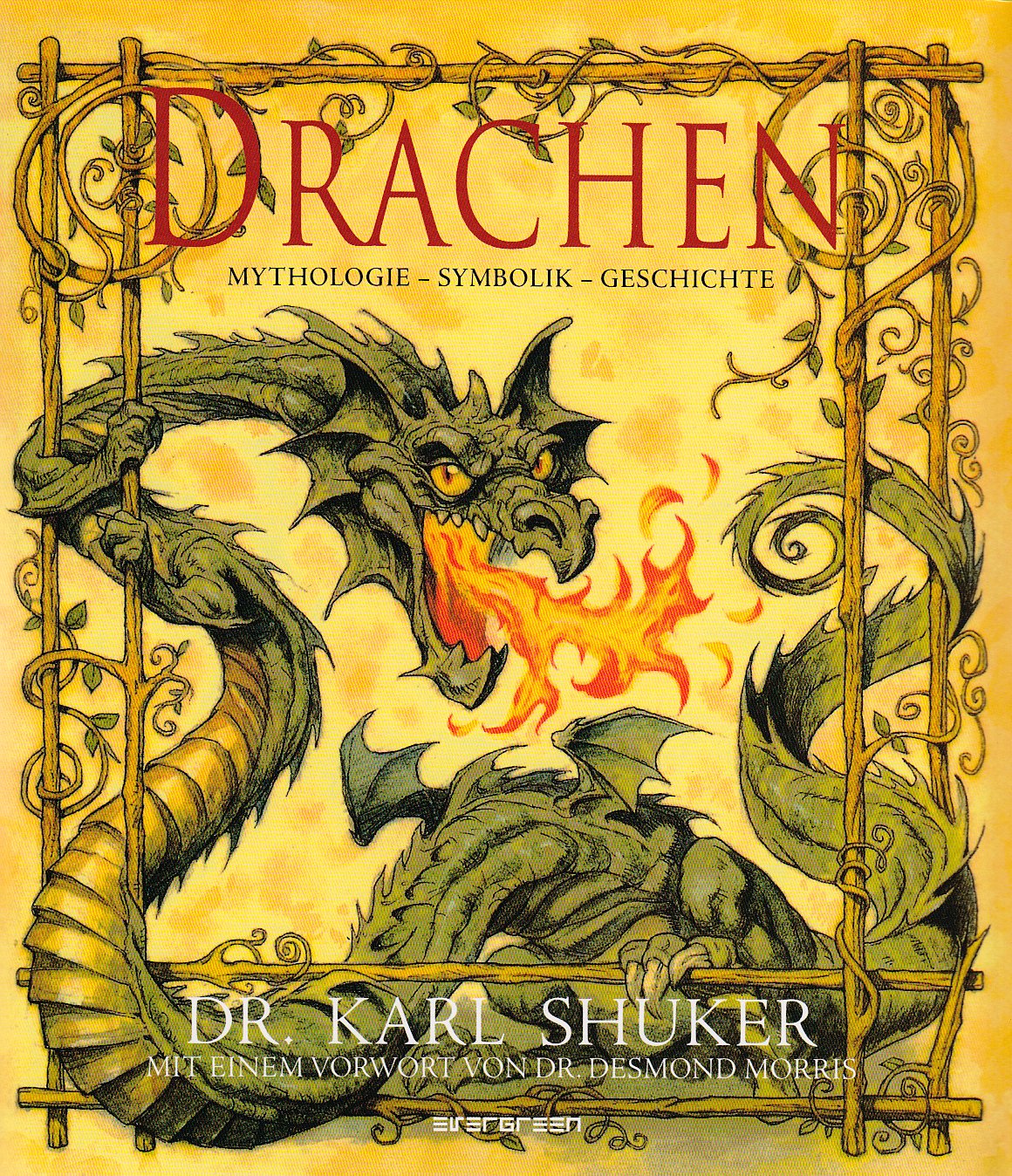 Drachen. Mythologie - Symbolik - Geschichte Fairy Tales & Legends