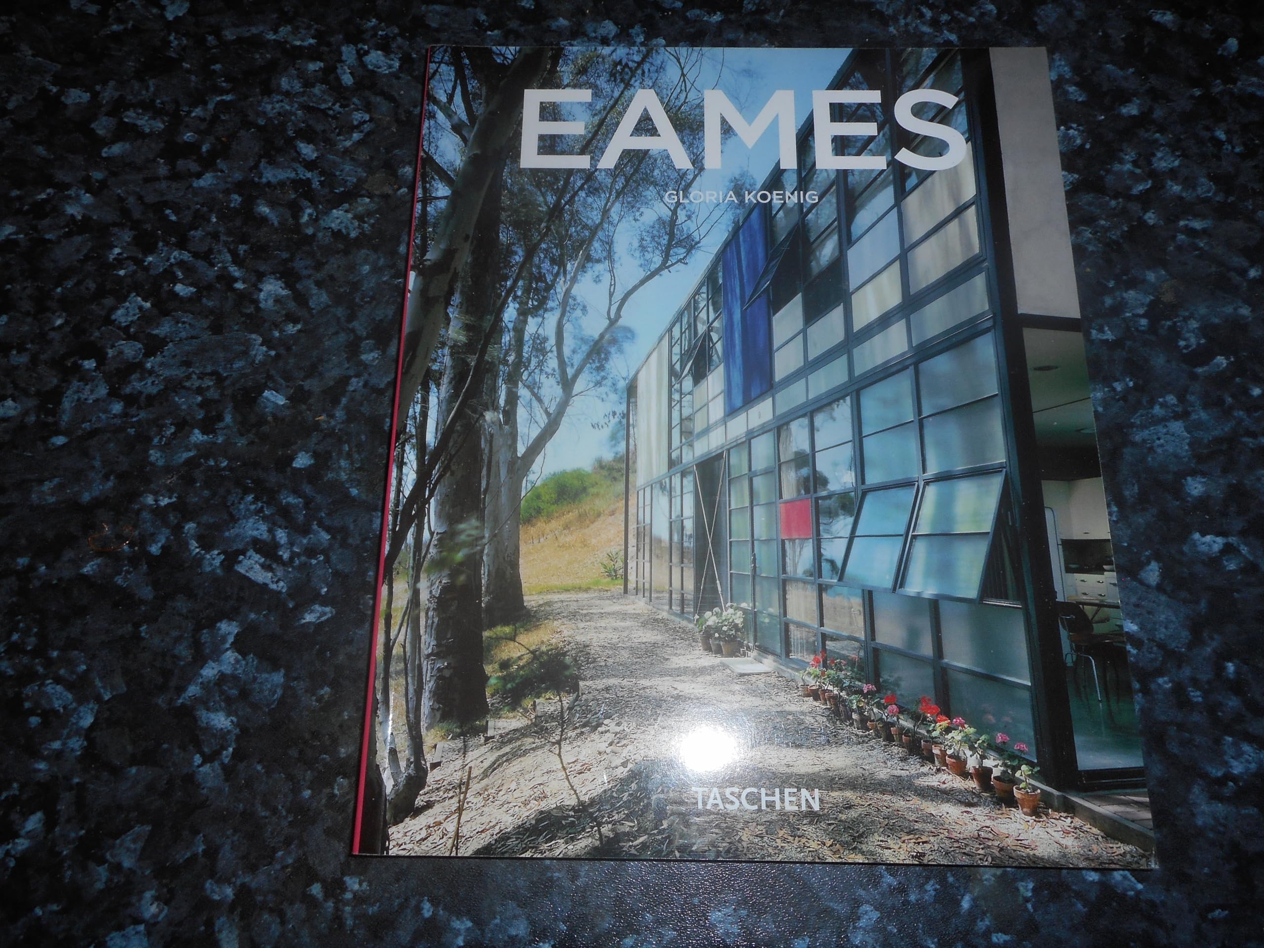 Charles & Ray Eames 1907-1978, 1912-1988: voortrekkers van de naoorlogse moderne kunst book