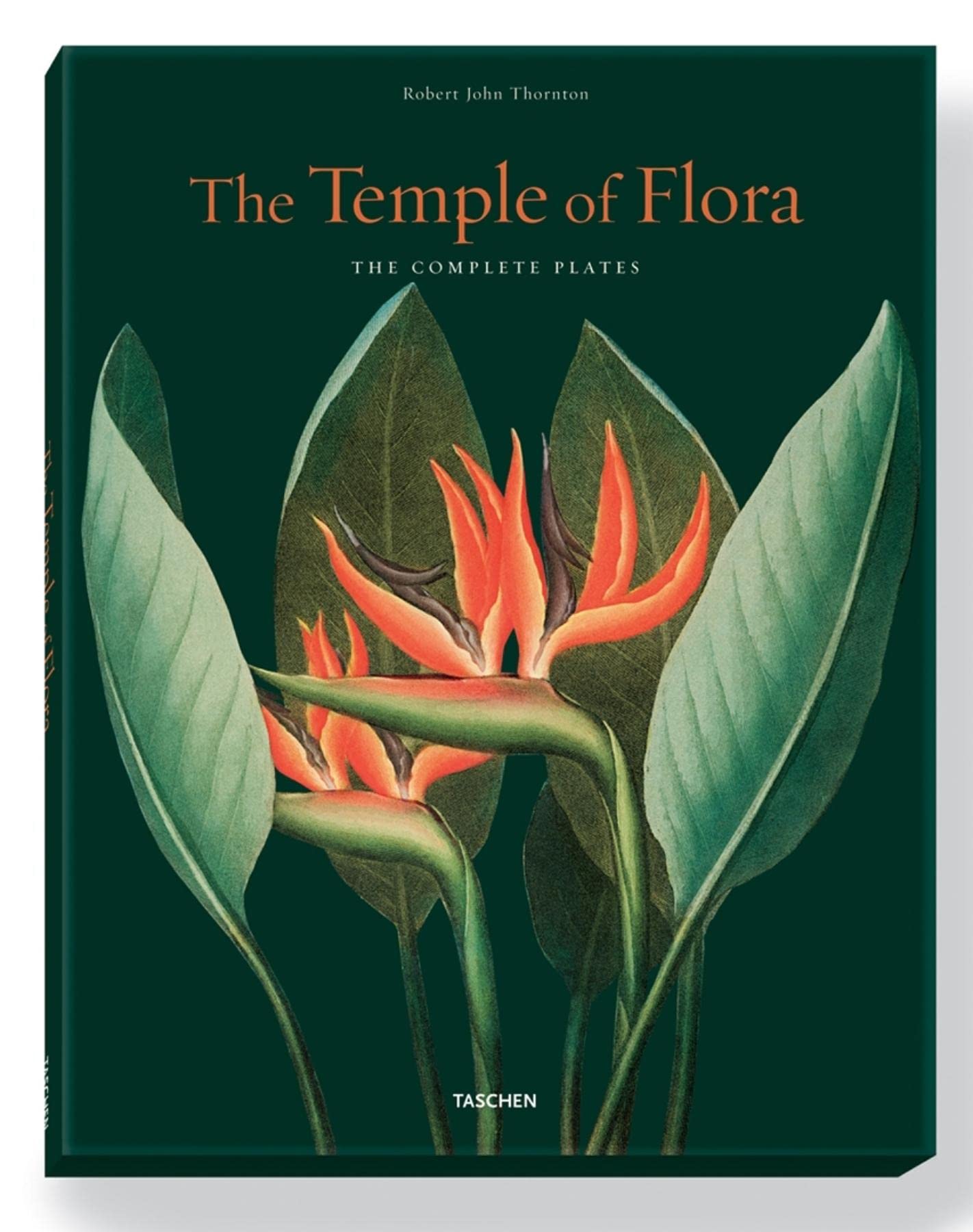 Thornton, Temple of Flora: THORNTON,TEMPLE OF FLORA-TRILINGUE (Extra large) Fiction