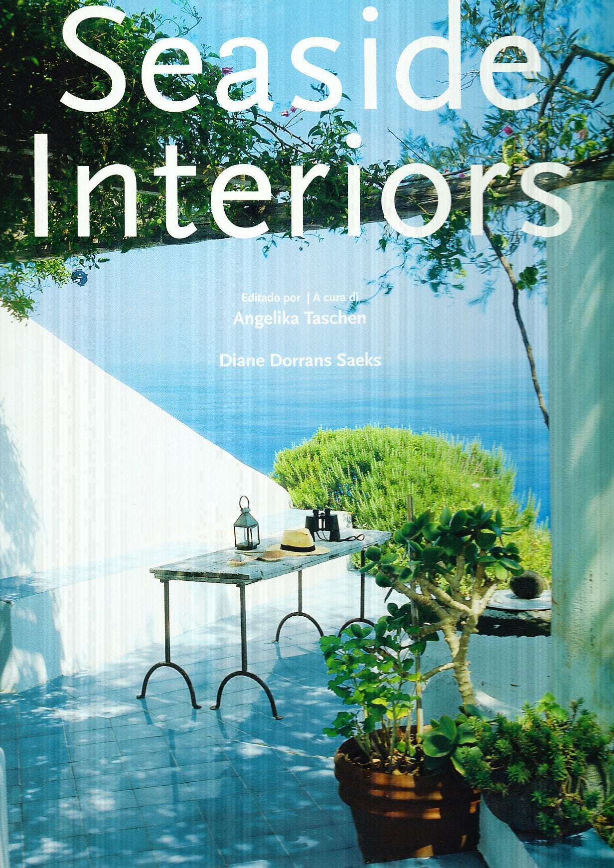 Seaside interiors. Ediz. italiana, spagnola e portoghese book