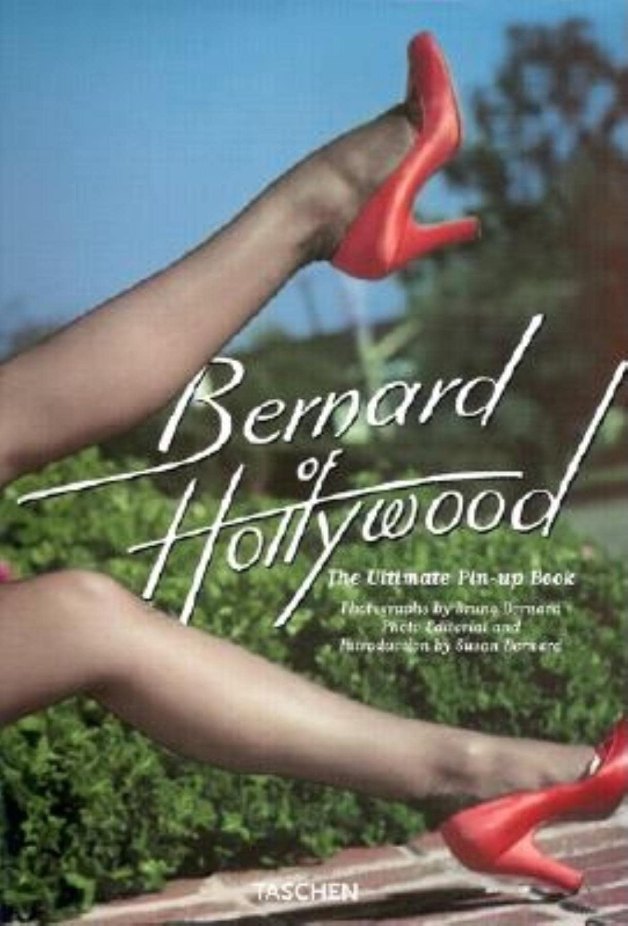 Ultimate Pin-Up Book: The Ultimate Pin-up Book (Jumbo S.) Calendars