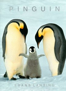 Product Image: Pinguin (Fotoreihe)