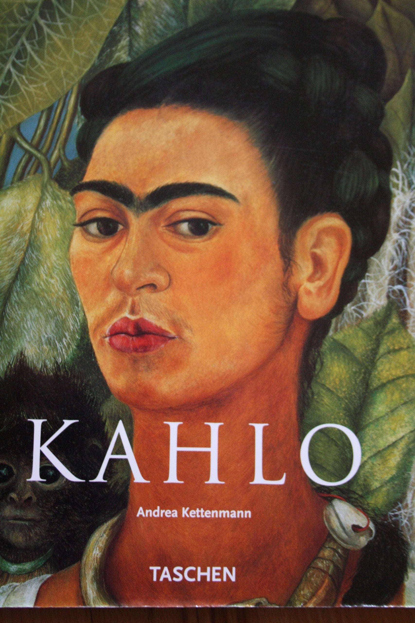 Frida Kahlo: 1907-1954, Leid und Leidenschaft (Kleine Reihe - Kunst) Art & Literature