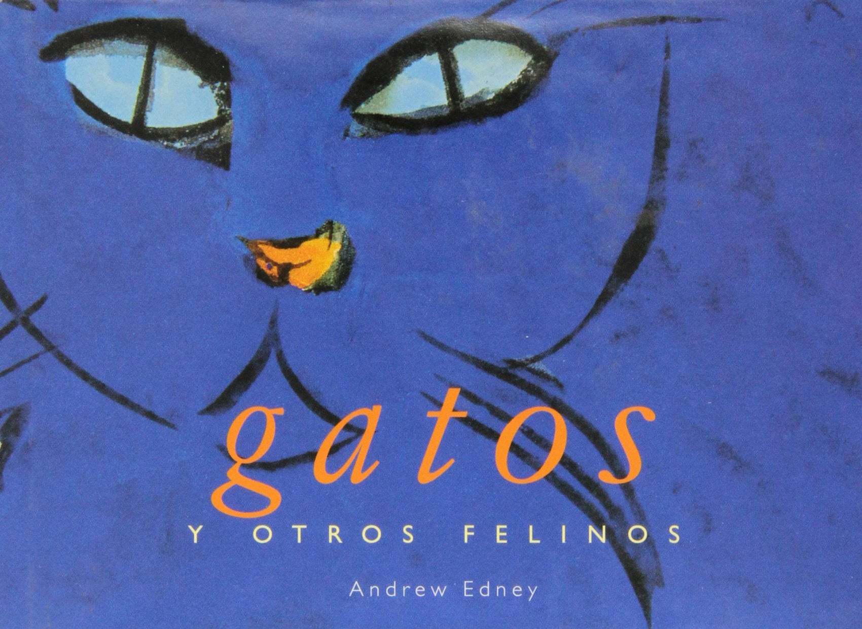 Gatos Y Otros Felinos Pets