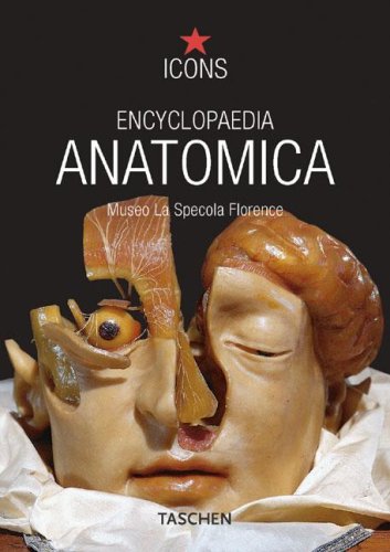 Encyclopaedia anatomica. Ediz. italiana, spagnola e portoghese Children's books
