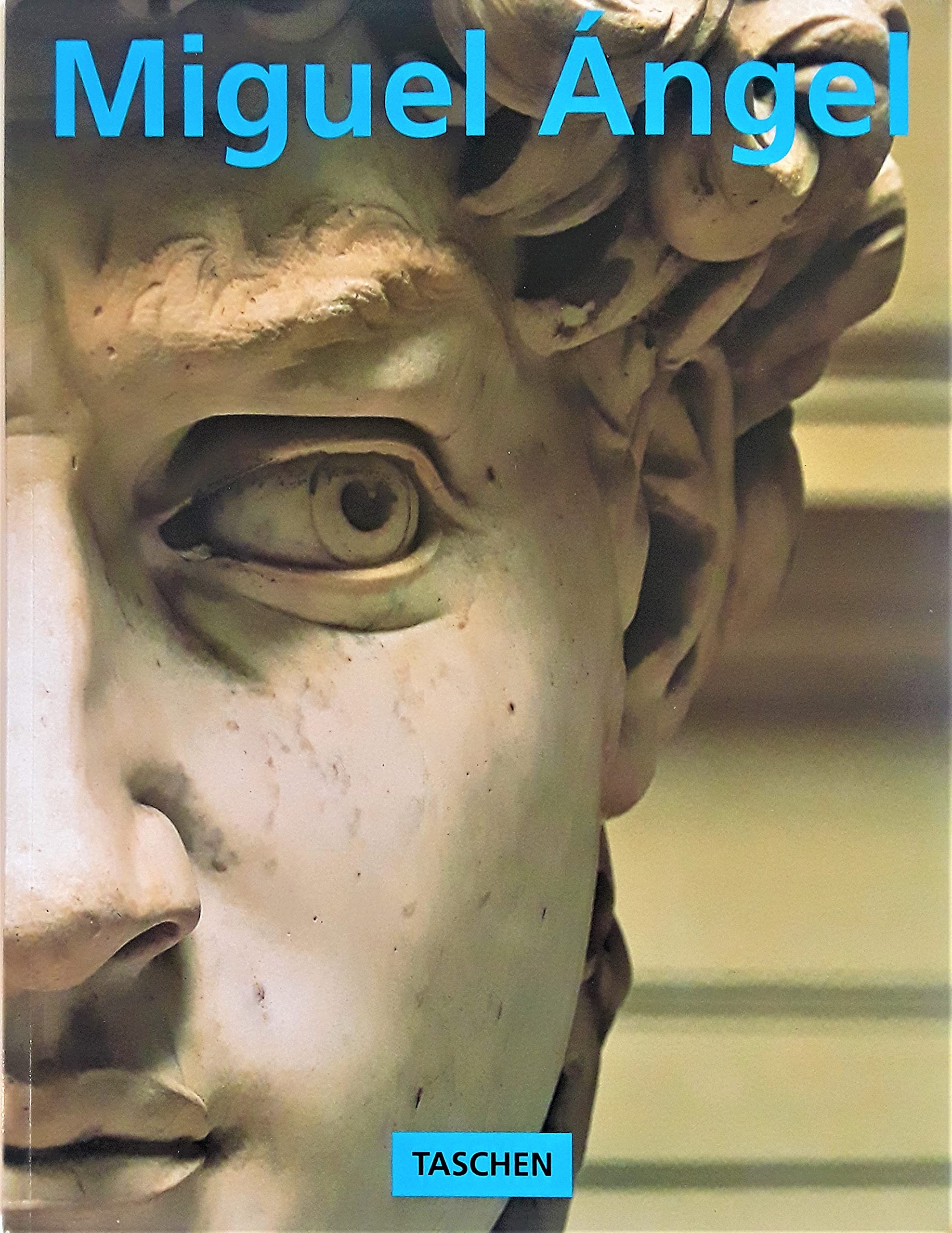 Miguel Angel: 1475-1564 Film, Art & Culture