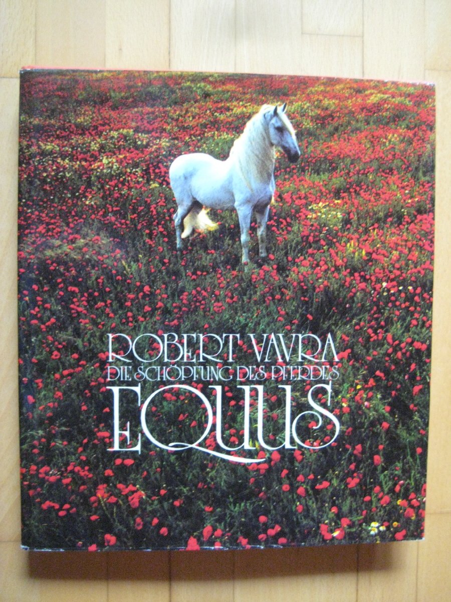 Equus. Die Schöpfung des Pferdes (Evergreen) Books
