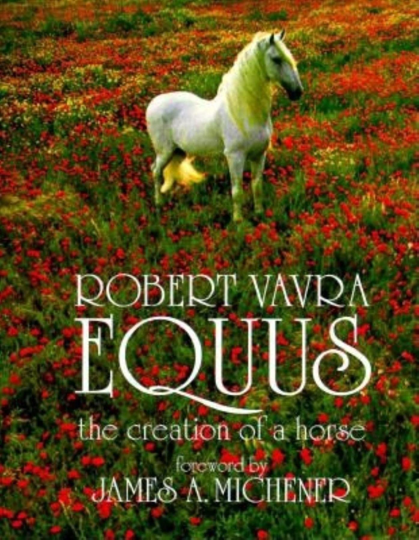 Equus: The Creation of a Horse book