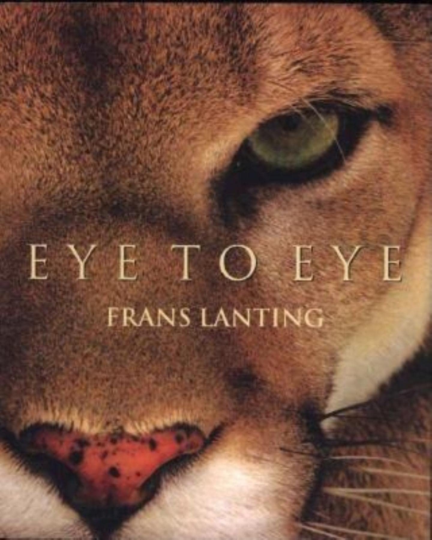Eye to Eye: Intimate Encounters With the Animal World Nature & Animals