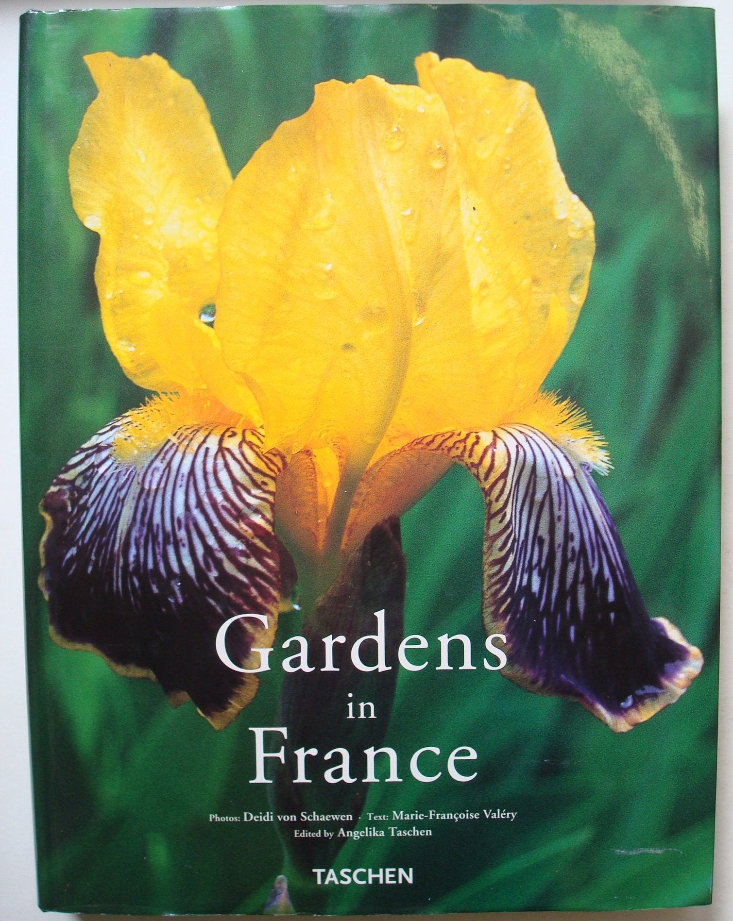 Gardens in France: Jardins De France En Fleurs: Garten in Frankreich (Jumbo S.) Garden & Plants