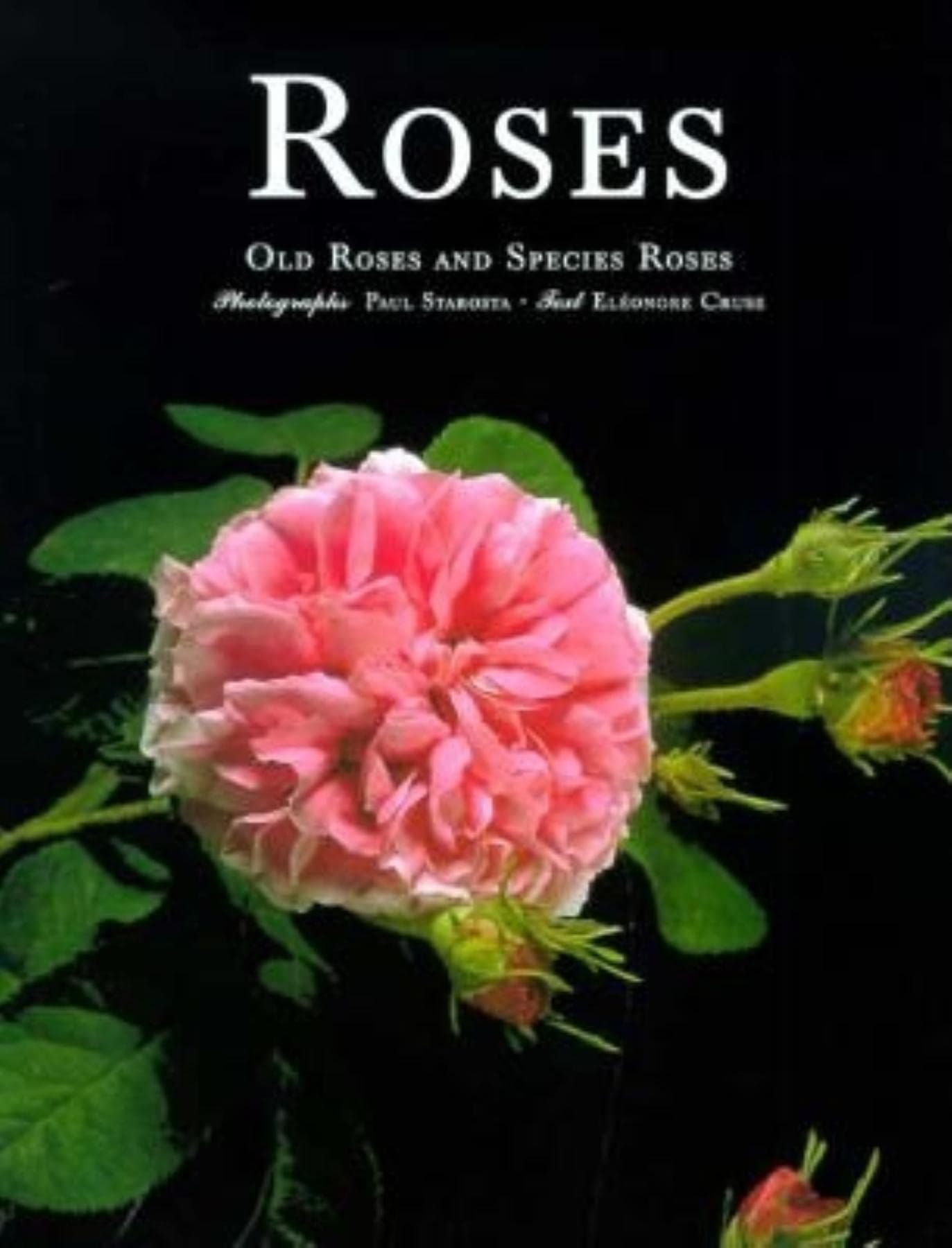 Roses: Old Roses and Species Roses book