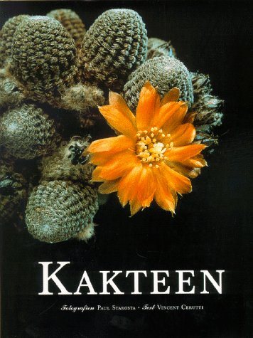 Kakteen (Evergreen) Film, Art & Culture