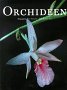 Orchideen Film, Art & Culture