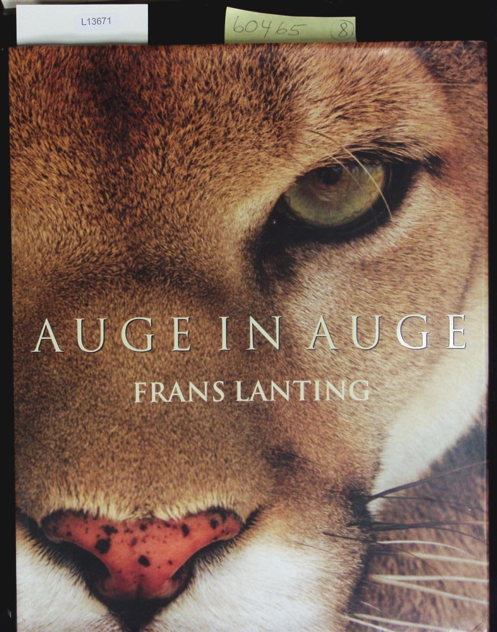 Product Image: Auge in Auge