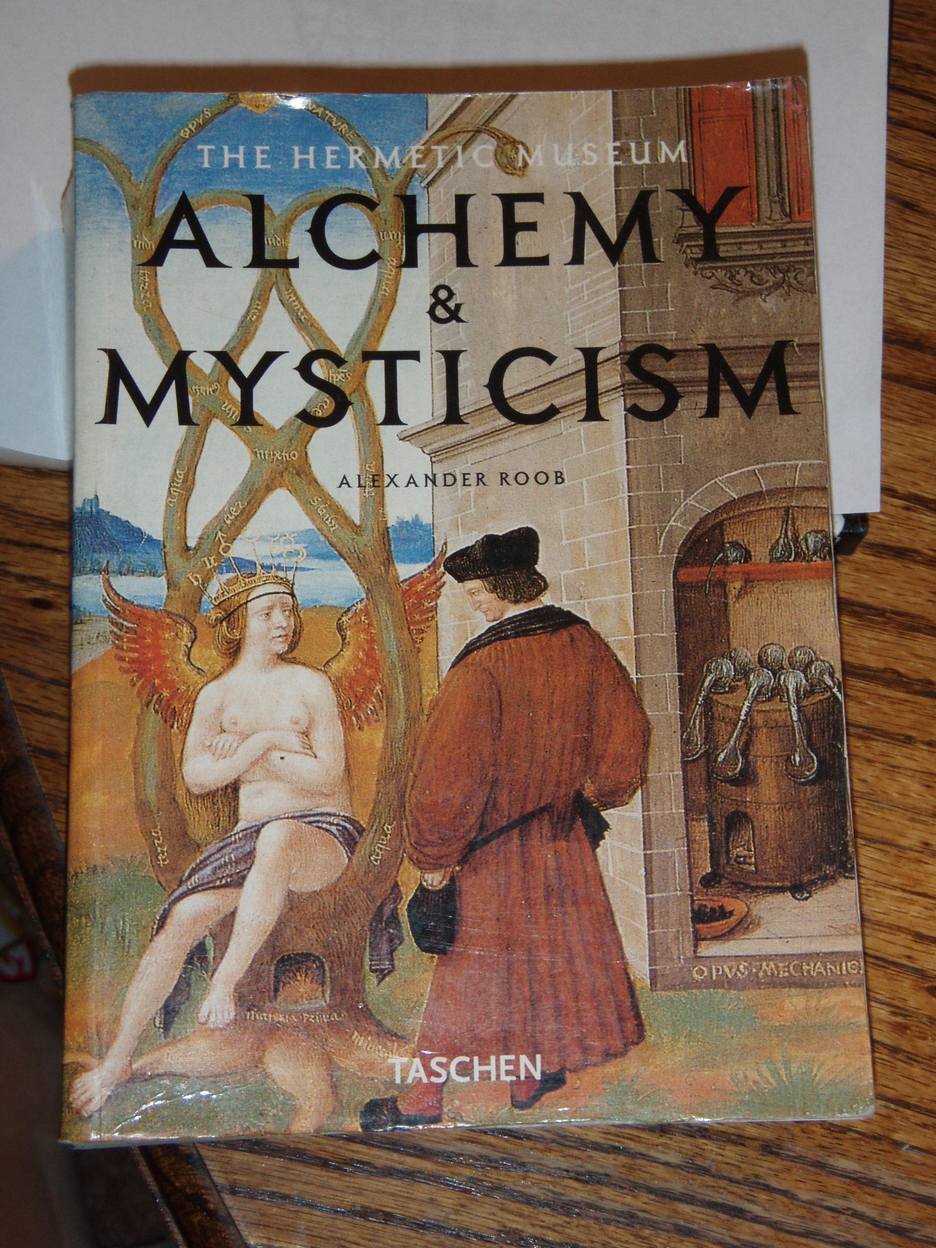 Alchemy and Mysticism in the Heremetic Museum (Klotz S.) Film, Art & Culture