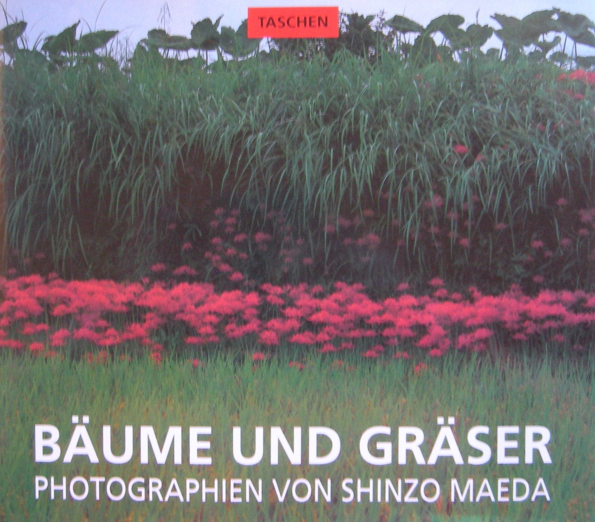 Bäume /Gräser Film, Art & Culture
