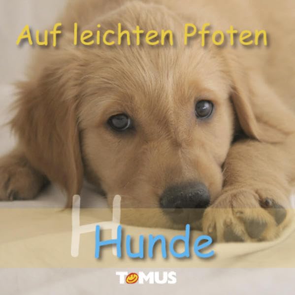 Auf leichten Pfoten: Hunde Pets