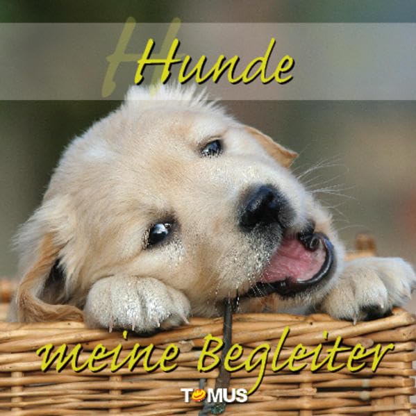 Product Image: Hunde – meine Begleiter