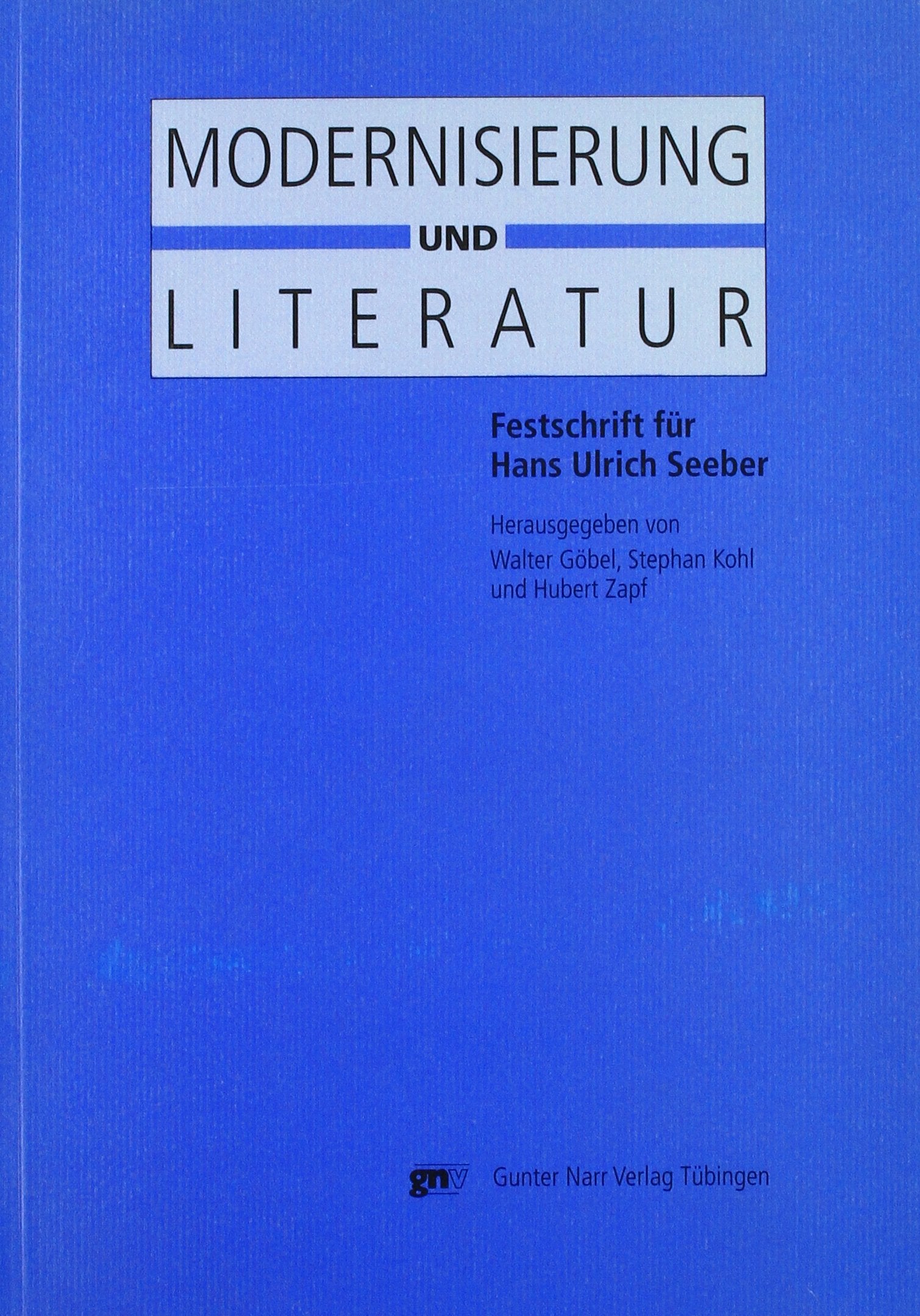 Modernisierung und Literatur: Festschrift für Hans Ulrich Seeber zum 60. Geburtstag Professional & Reference Books
