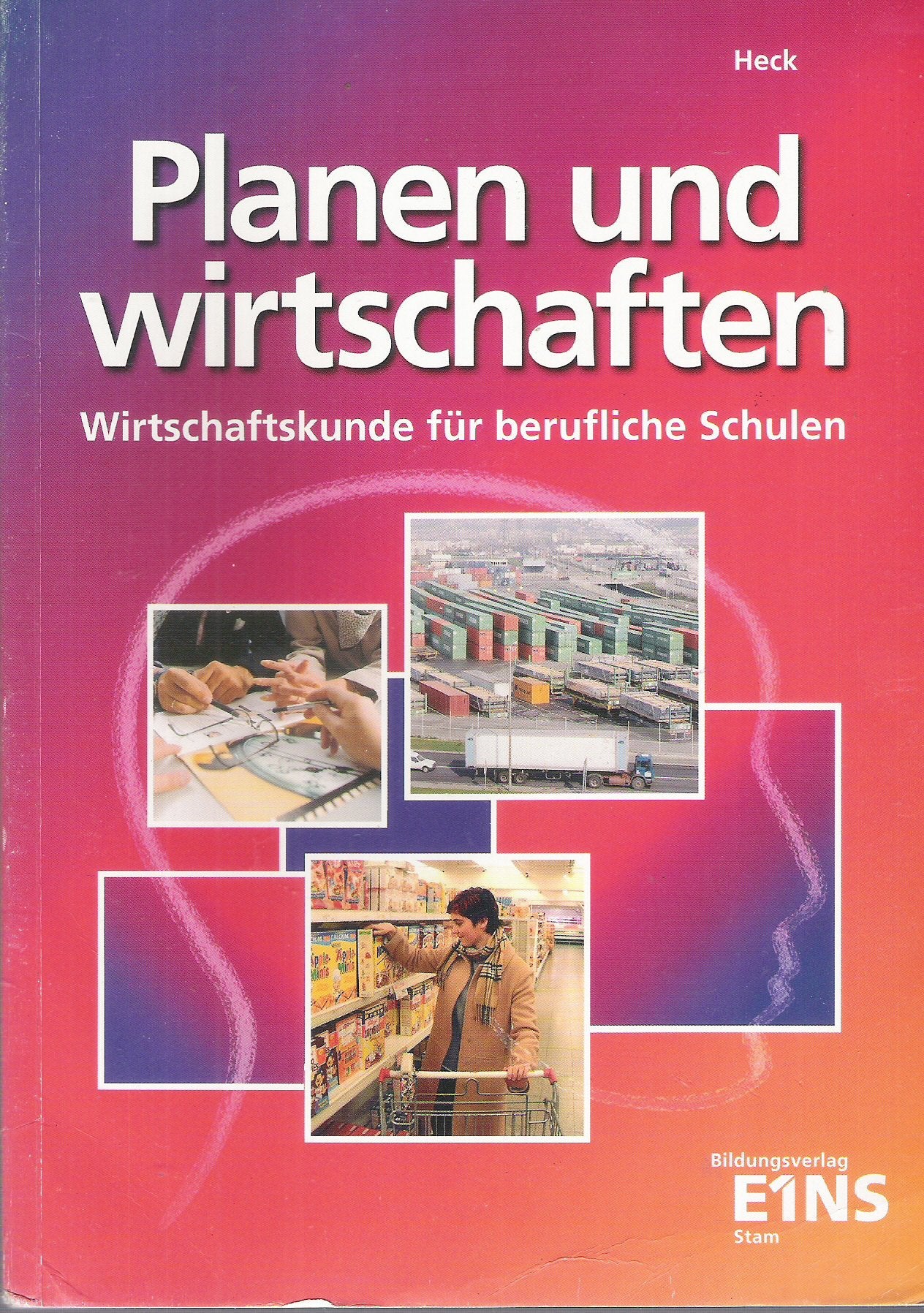 Planen und wirtschaften: Wirtschaftskunde für berufliche Schulen. Lehr- /Fachbuch Business, Finance & Career