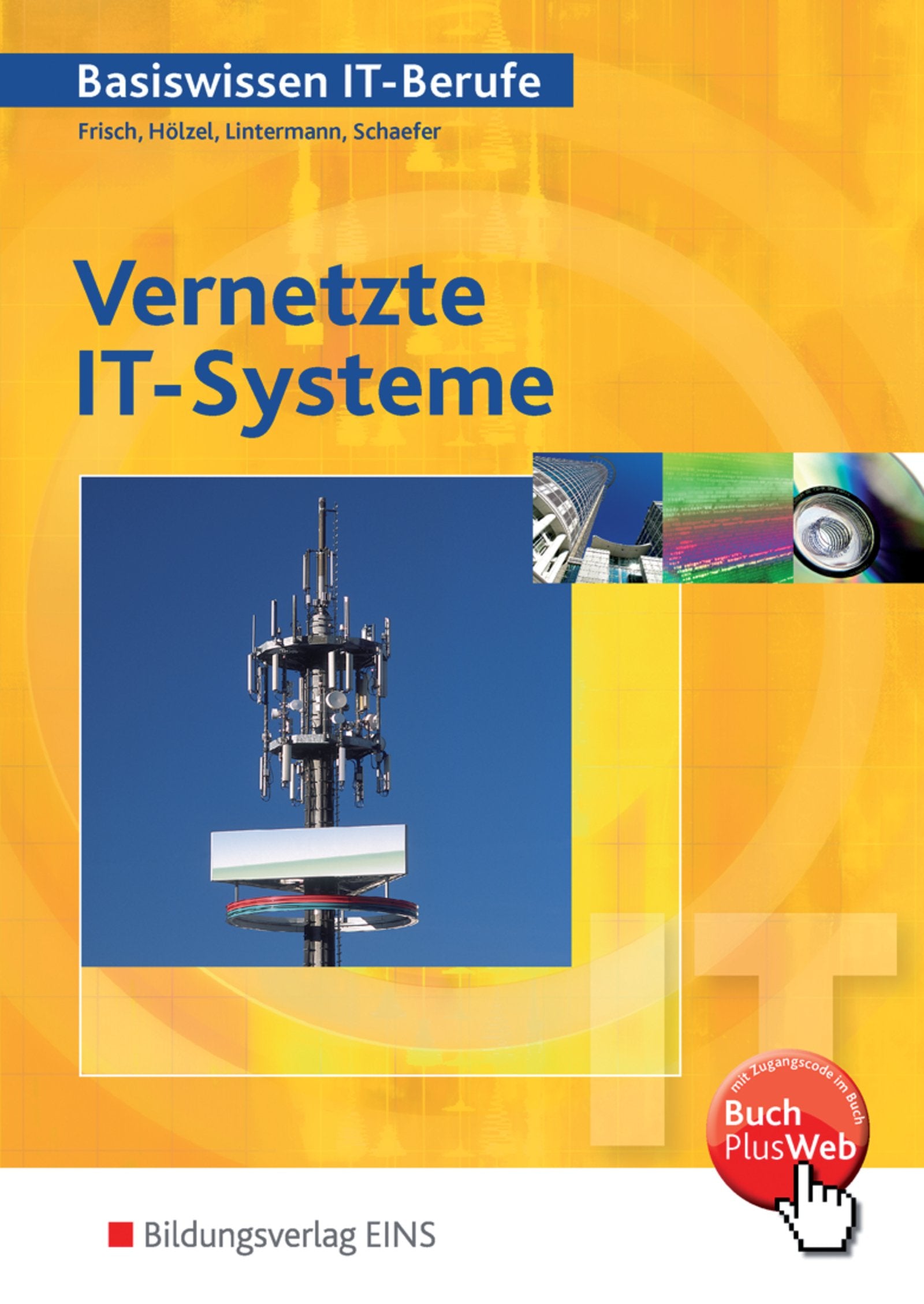 Basiswissen IT-Berufe. Vernetzte IT-Systeme. Schülerband Business, Finance & Career