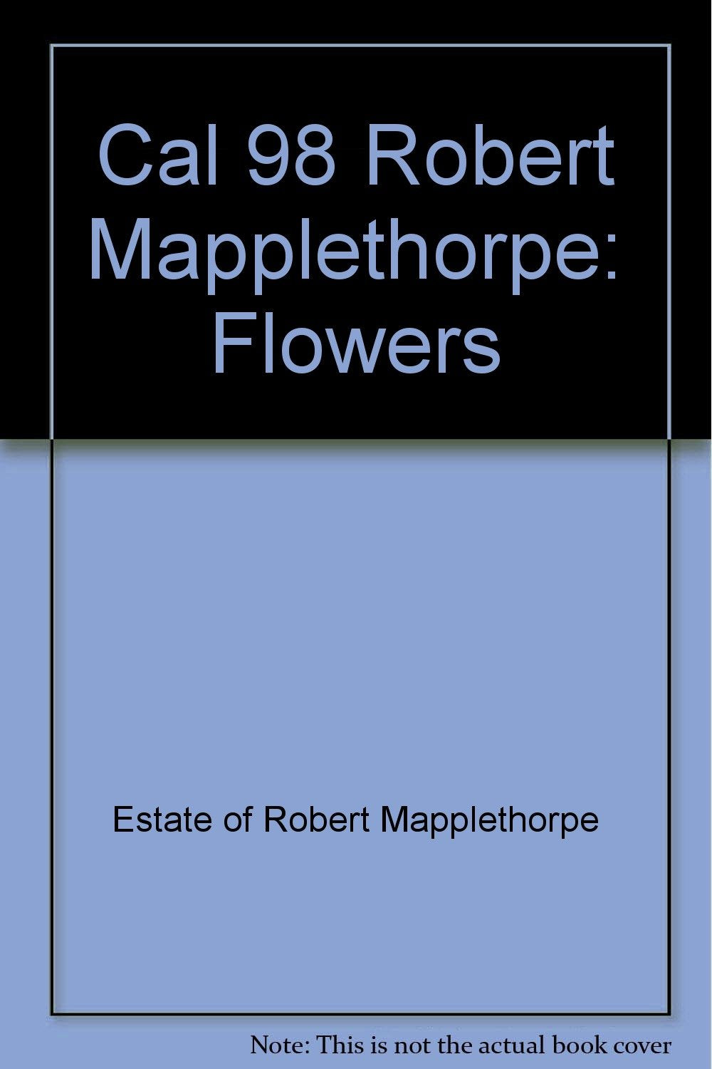 Robert Mapplethorpe 1998: Broschürenkalender (Robert Mapplethorpe Calendar) Books