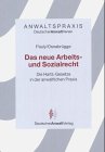 Das neue Arbeits- und Sozialrecht. Die Hartzgesetze in der anwaltlichen Praxis Law