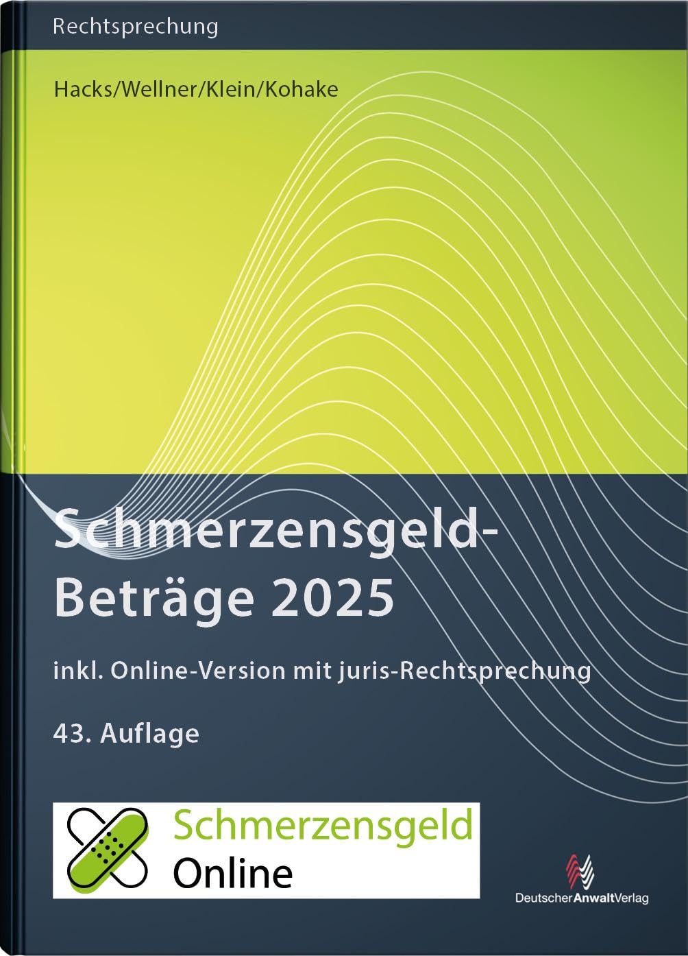 SchmerzensgeldBeträge 2025 (Buch mit Online-Zugang): inkl. Online-Zugang mit juris-Rechtsprechung (Rechtsprechungssammlungen) Law