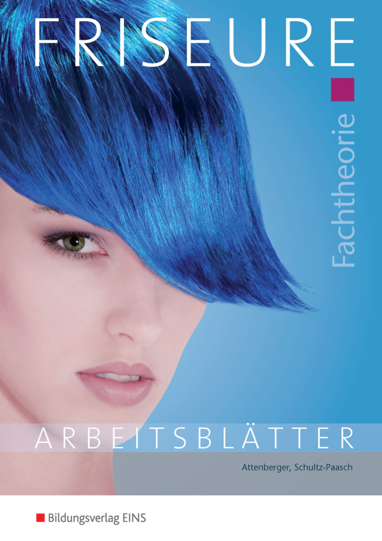 Fachtheorie Friseure, Arbeitsblätter. Gesamtband.: Fachtheorie: Arbeitsheft Business, Finance & Career