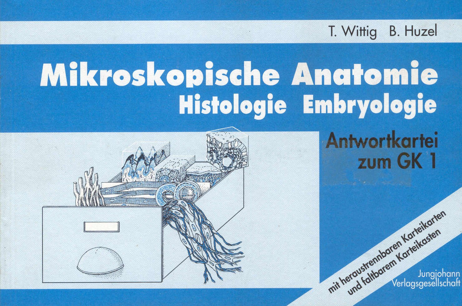 Antwortkarteien zum GK, Neu, Mikroskopische Anatomie Medicine