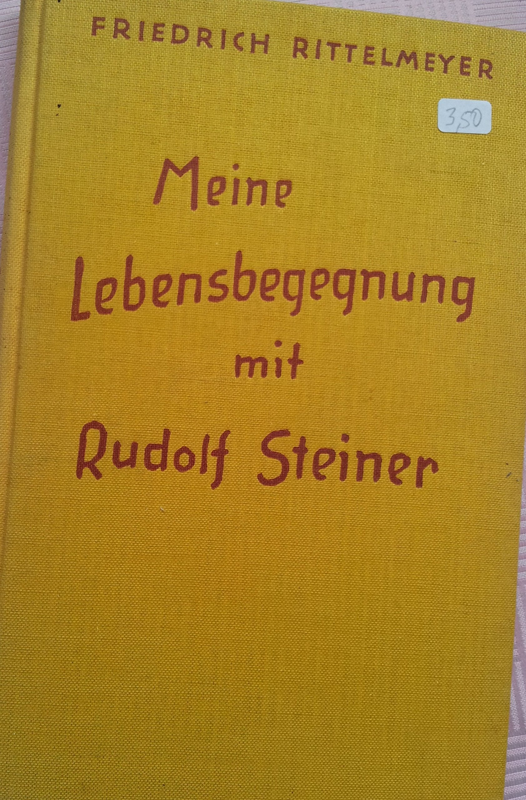 Meine Lebensbegegnung mit Rudolf Steiner: Achtung: Nachauflage erscheint unter neuer ISBN 9783825179236 Science
